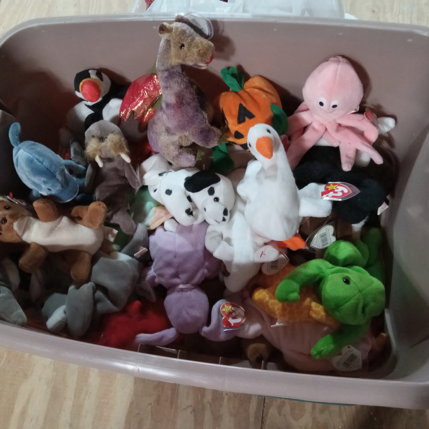 Tub O' Beanie Babies - image 1 of 5