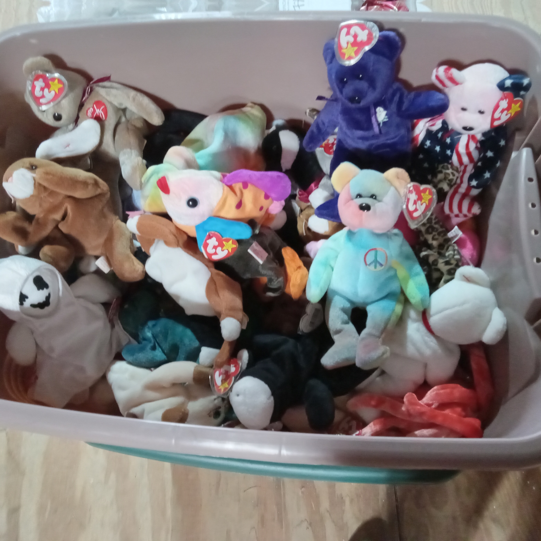 Another Tub O' Beanie Babies - image 1 of 6