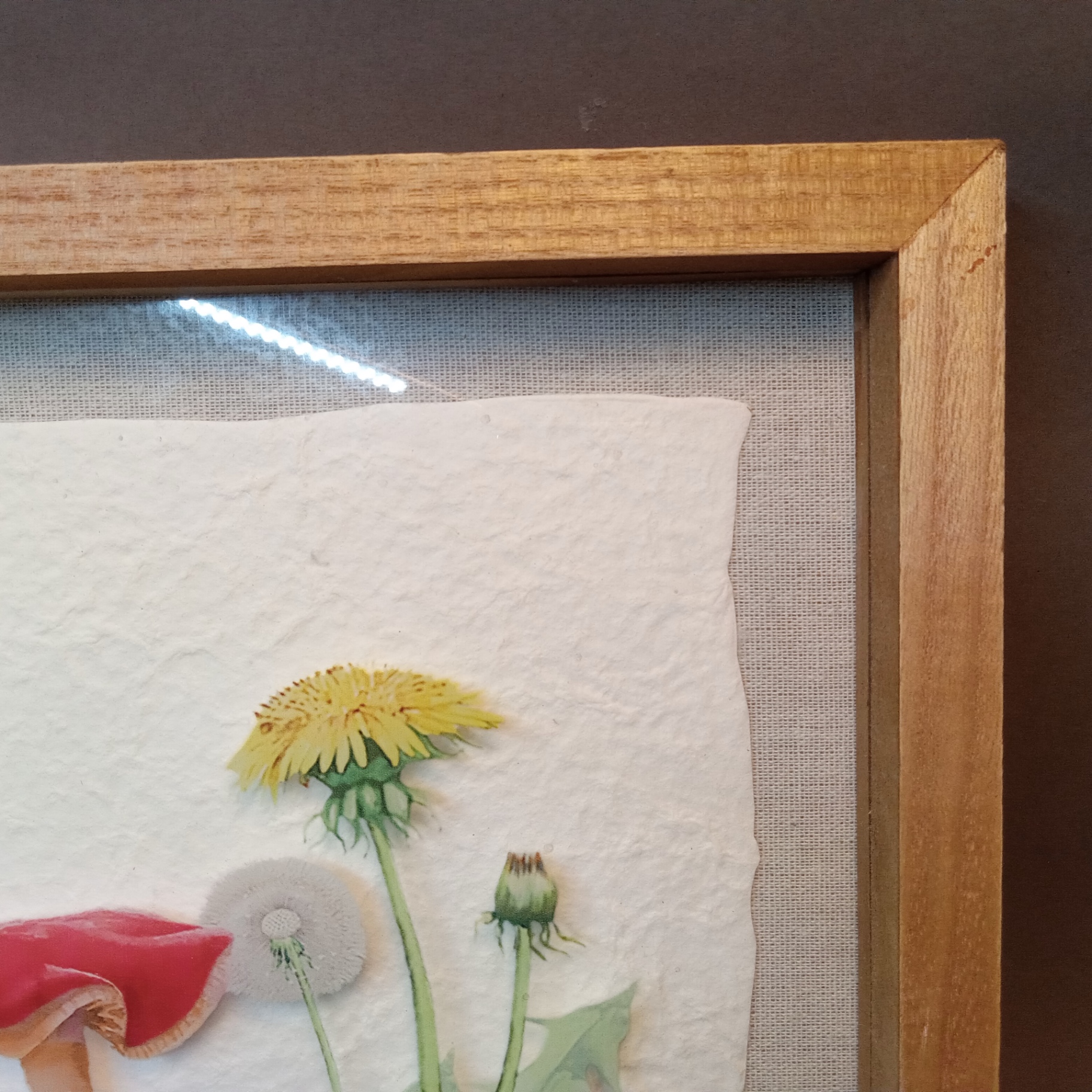 Mushroom Art - image 4 of 6