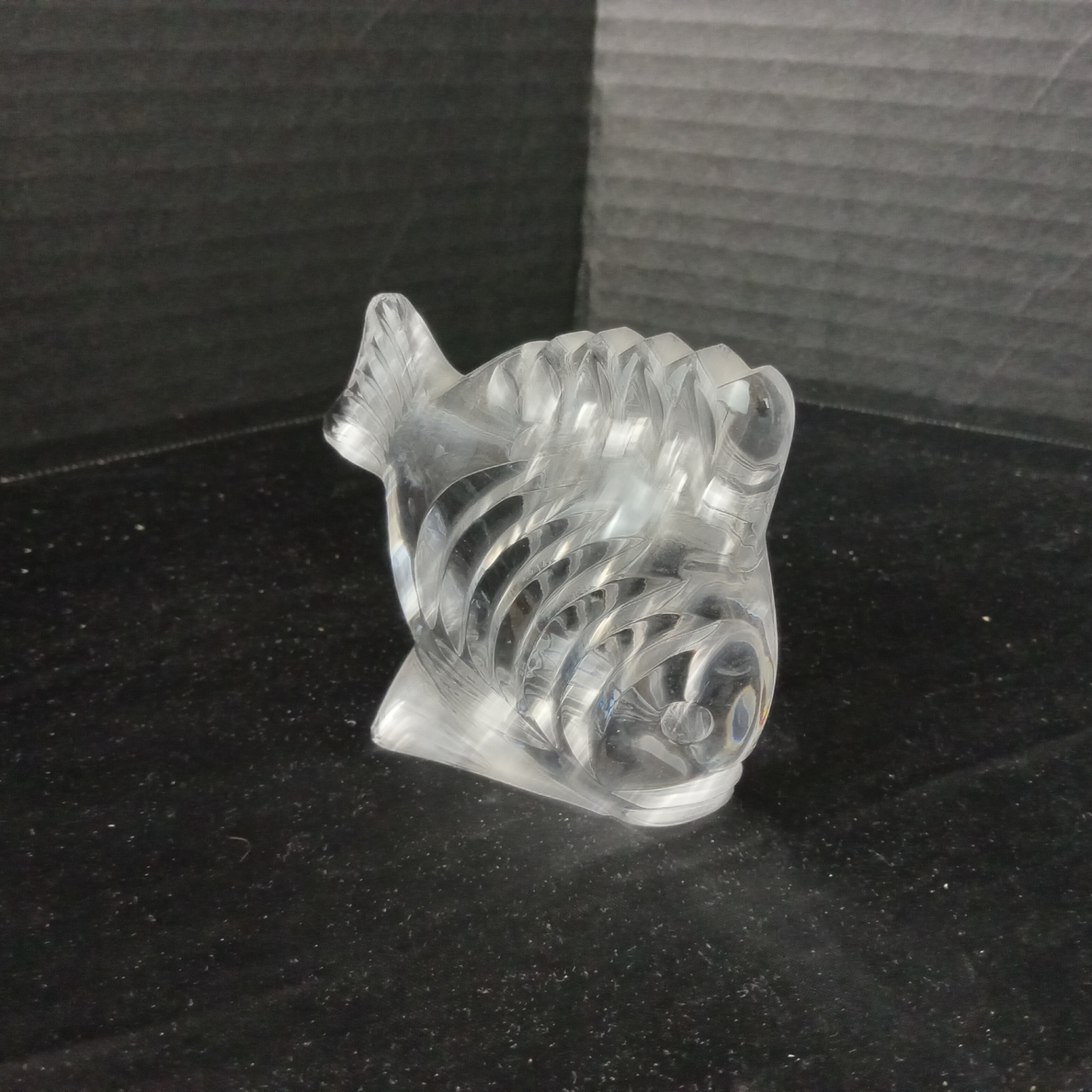 Crystal Fish Decor - image 5 of 11
