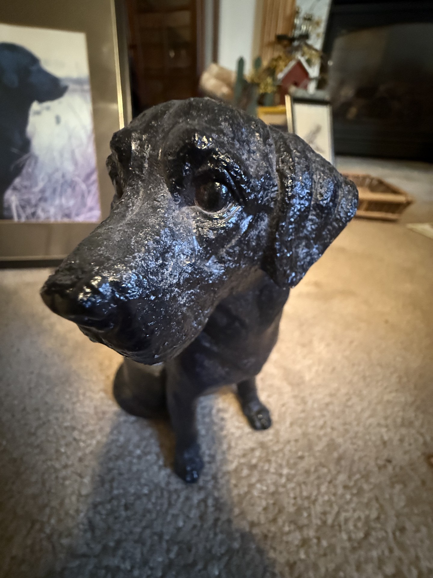 Dog-themed decor and books collection - image 10 of 27