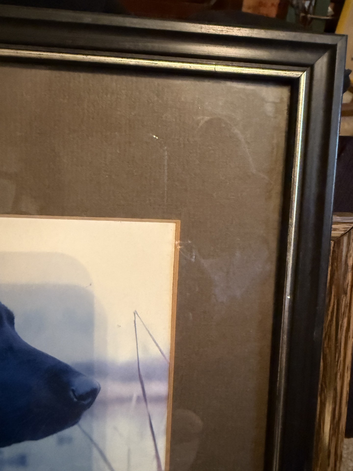 Dog-themed decor and books collection - image 25 of 27