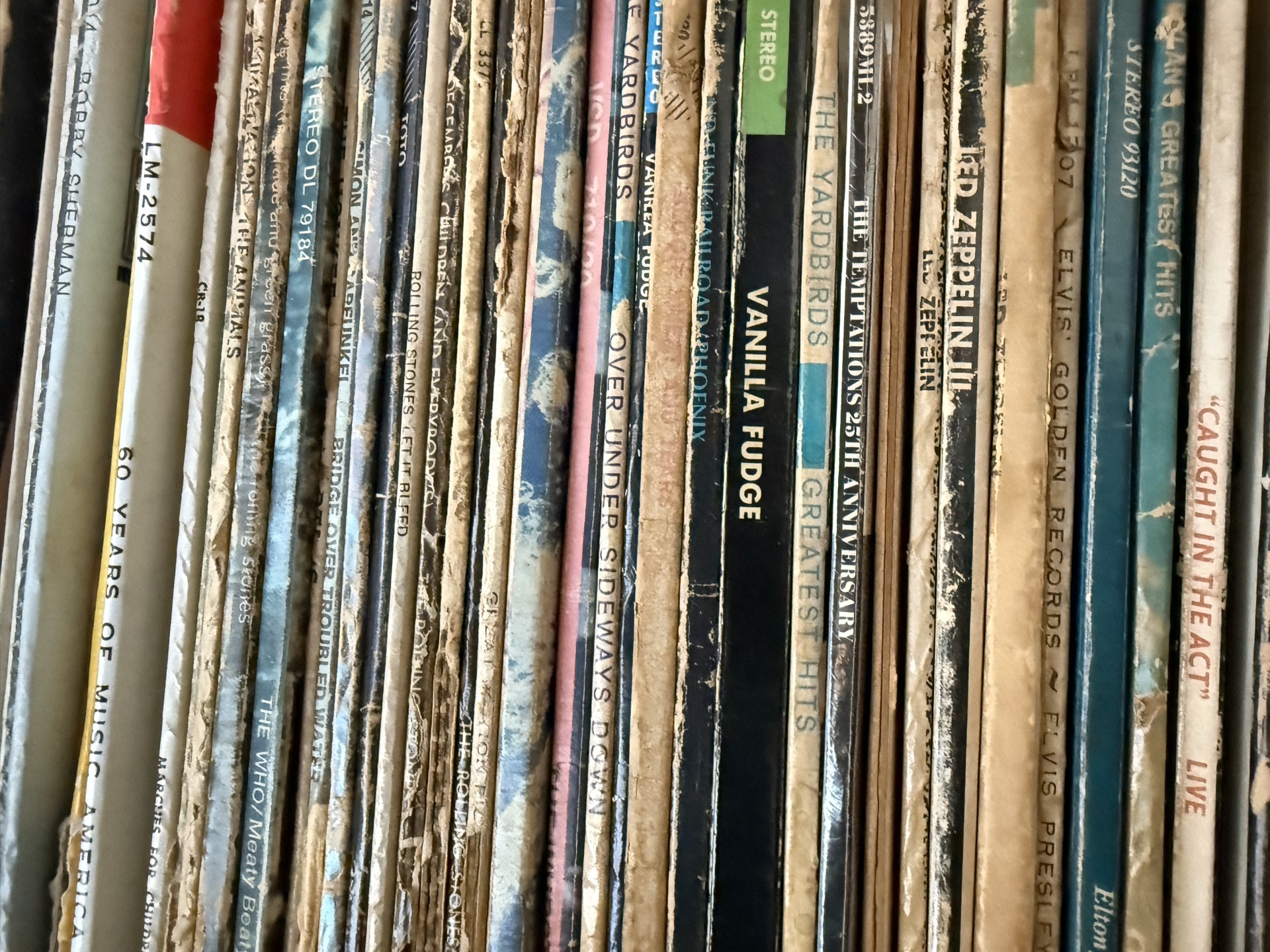 Vinyl record collection - image 9 of 15