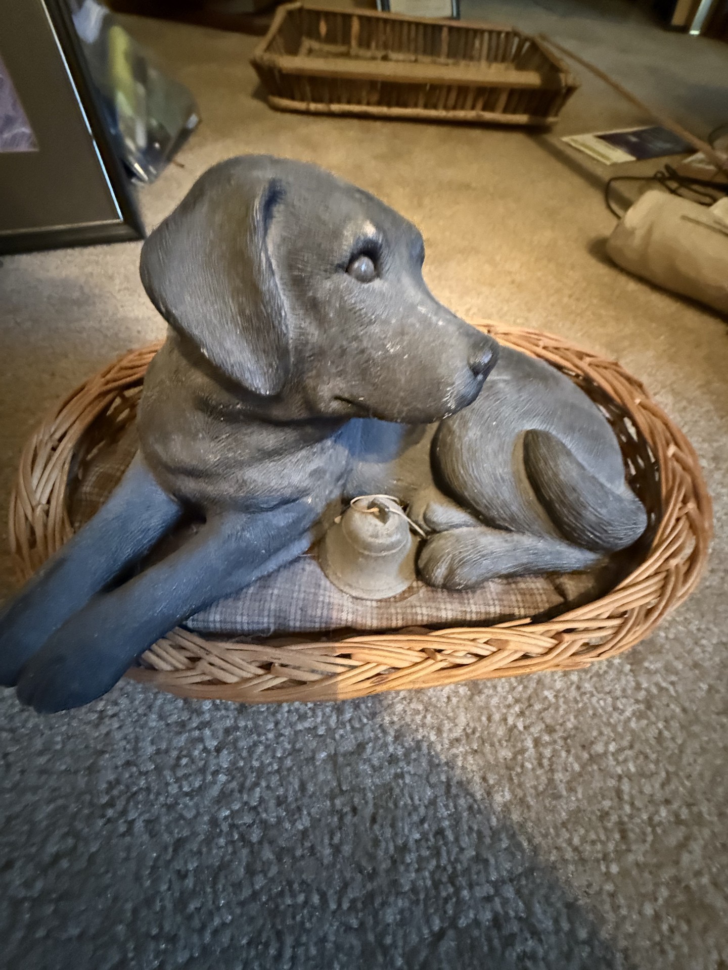 Dog-themed decor and books collection - image 11 of 27