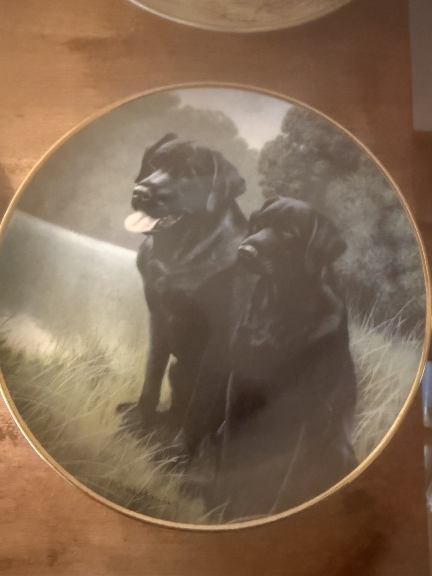 Set of four round decorative plates featuring black Labrador retrievers - image 2 of 9