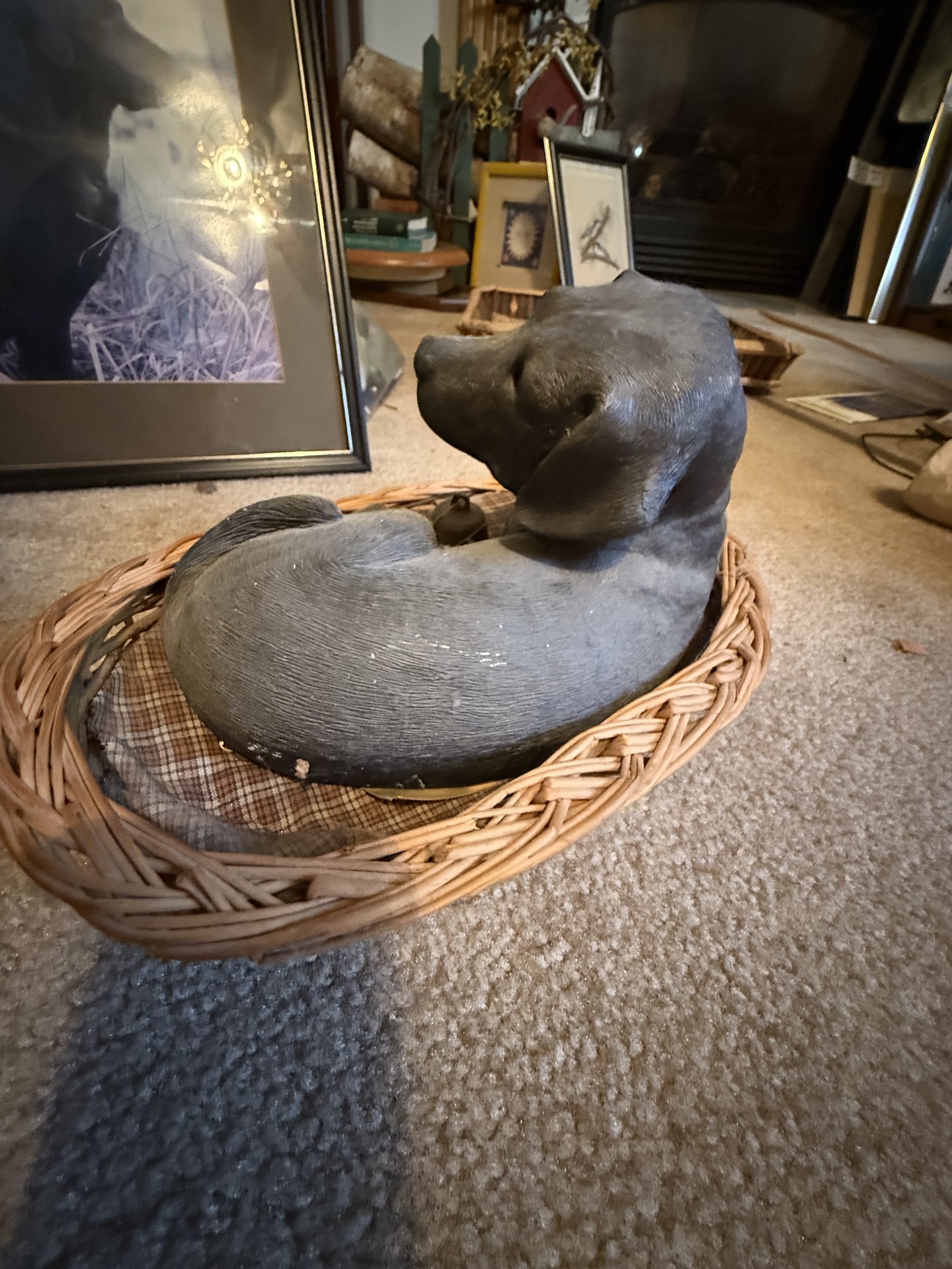 Dog-themed decor and books collection - image 13 of 27