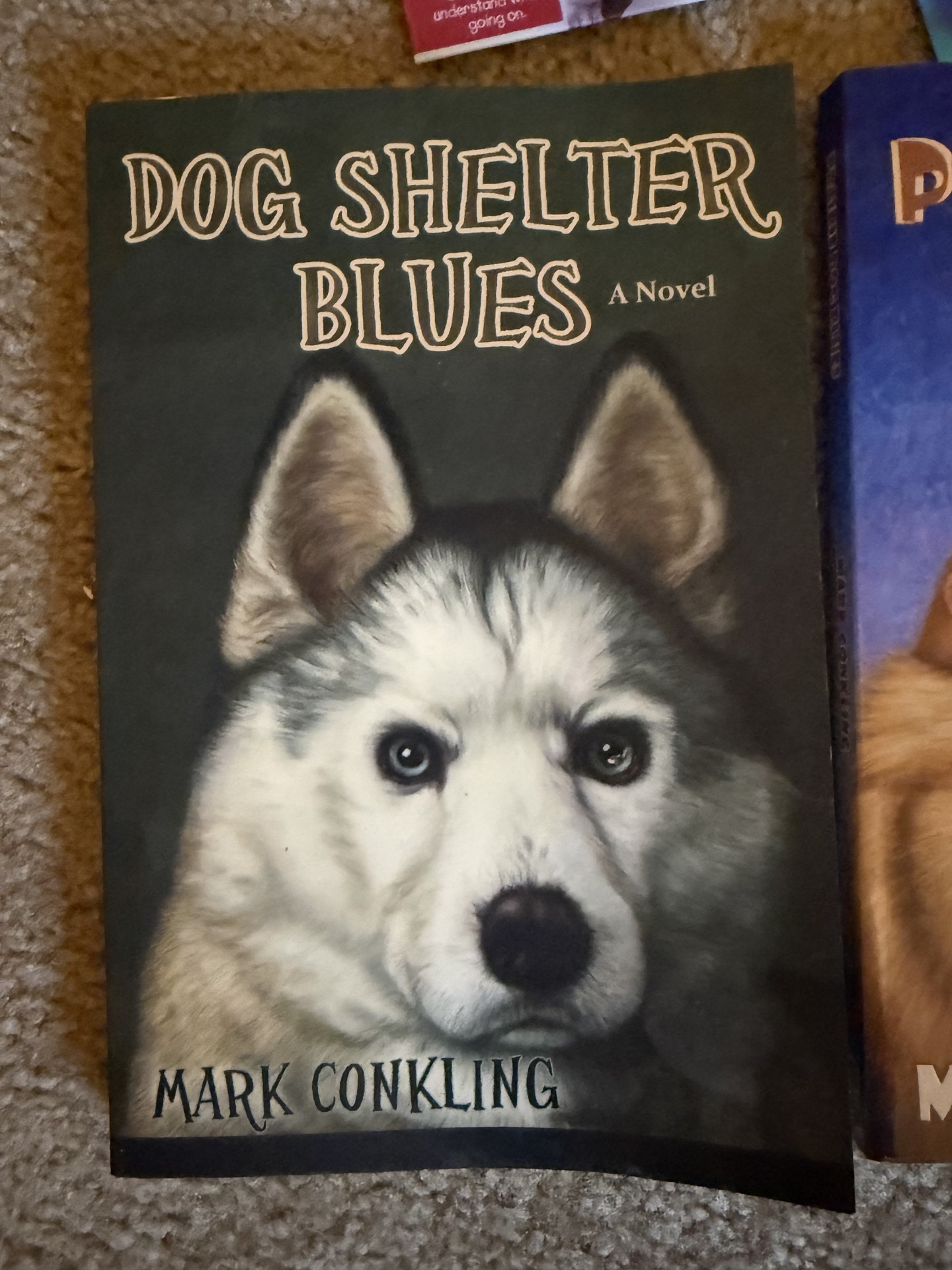 Dog-themed decor and books collection - image 2 of 27