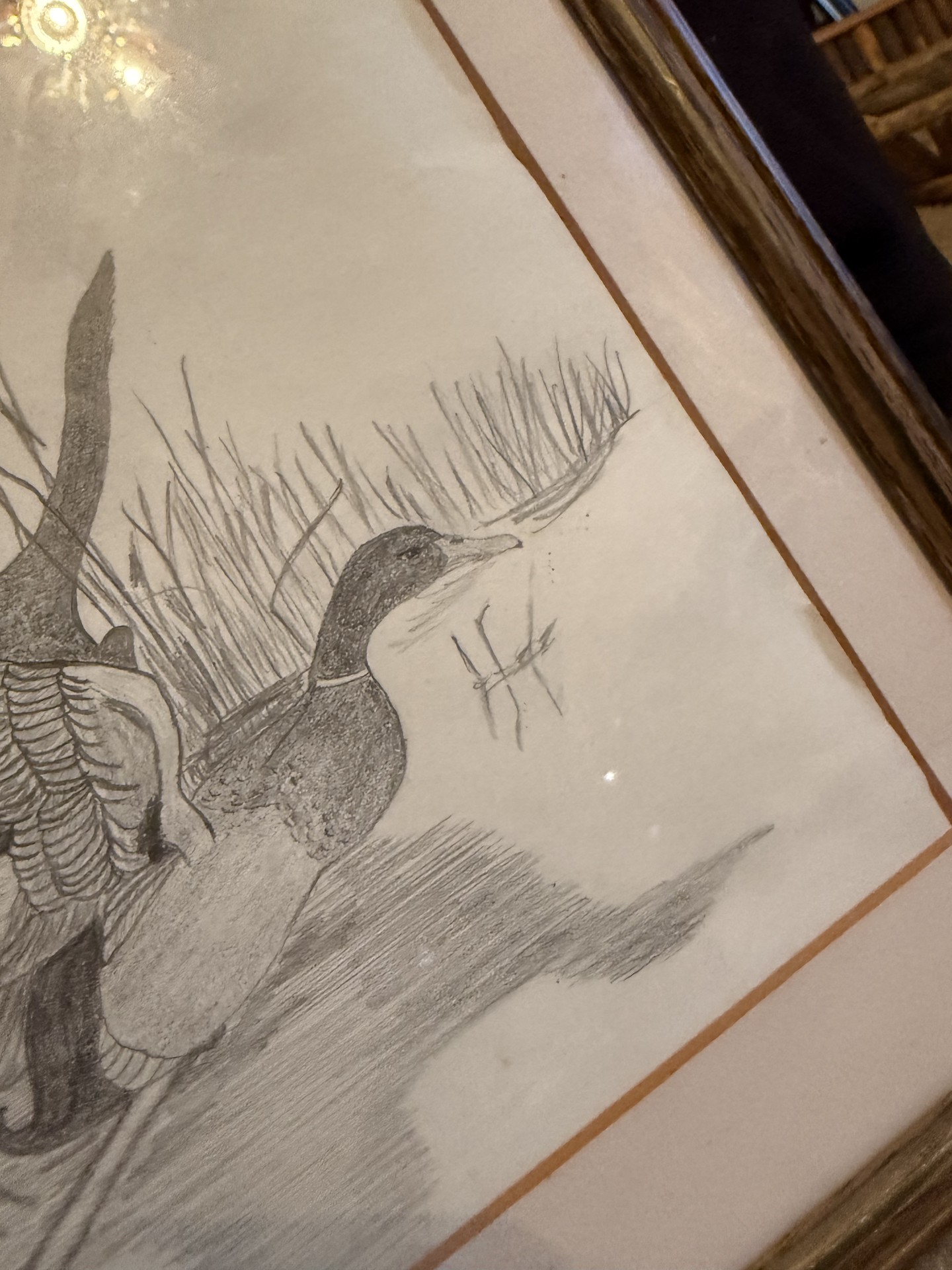 Dog-themed decor and books collection - image 21 of 27