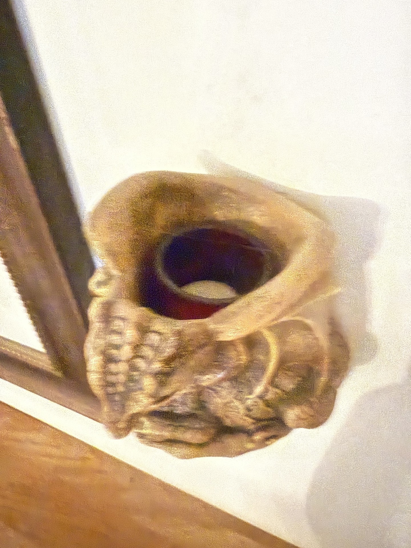 Windstone Editions dragon sculpture with tealight cavity - image 13 of 16