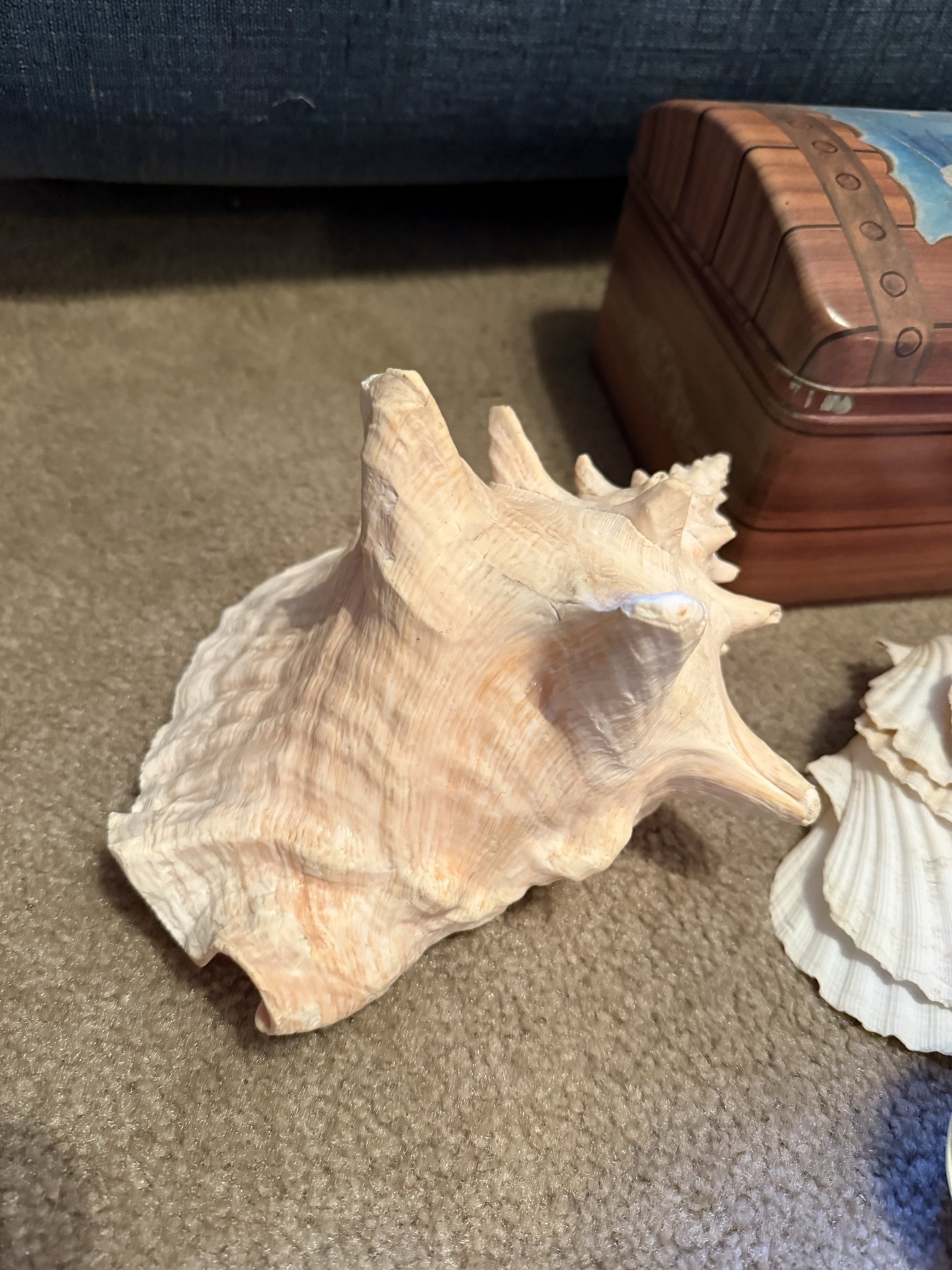 Coastal seashells, geodes, lighthouse models, and decorative chest - image 3 of 8