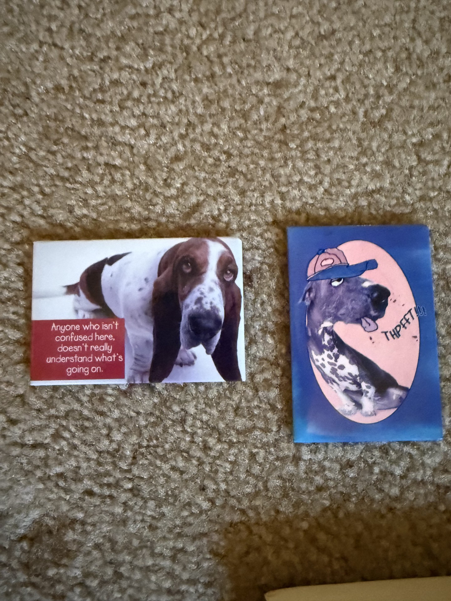 Dog-themed decor and books collection - image 4 of 27