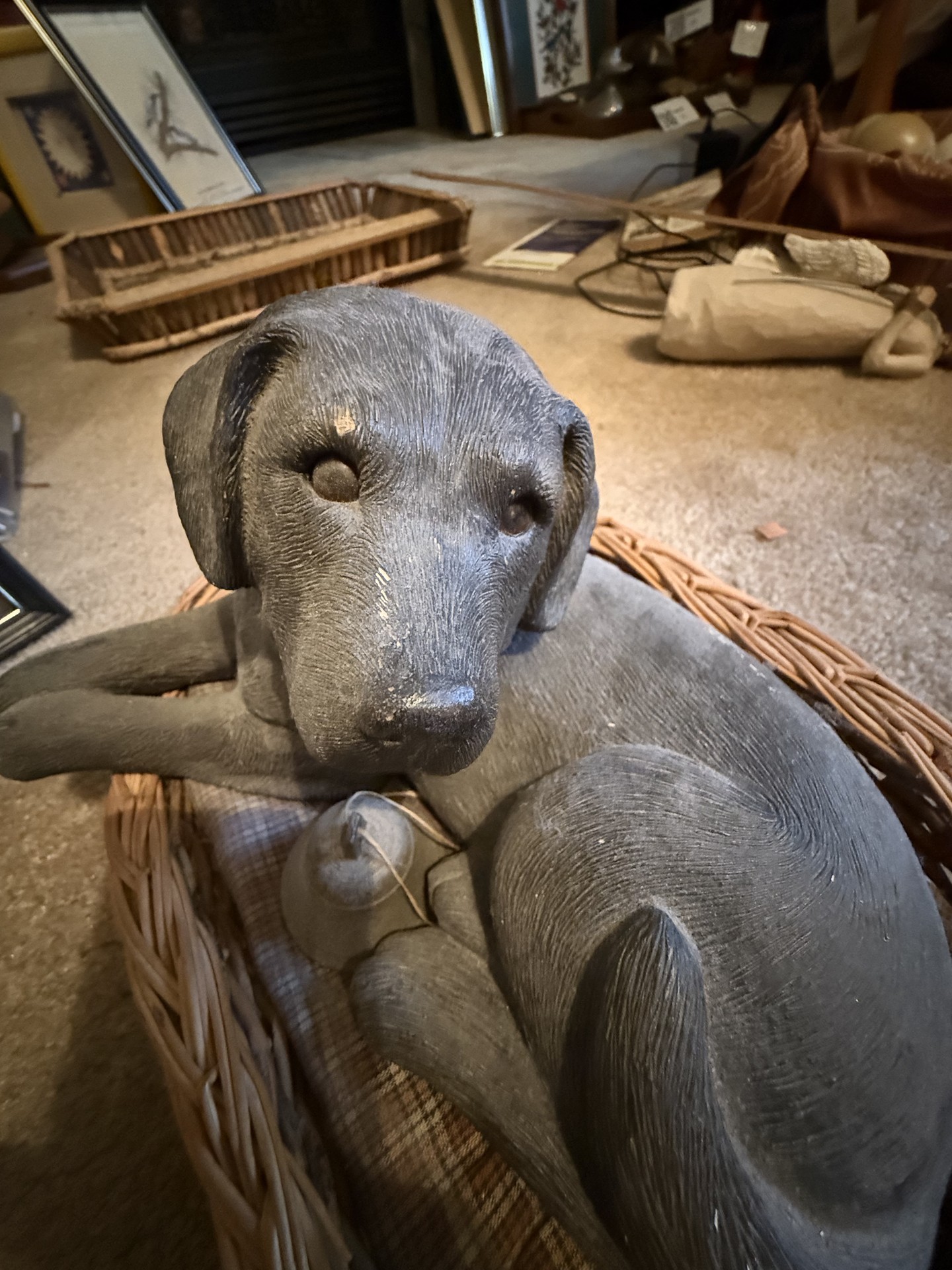 Dog-themed decor and books collection - image 15 of 27