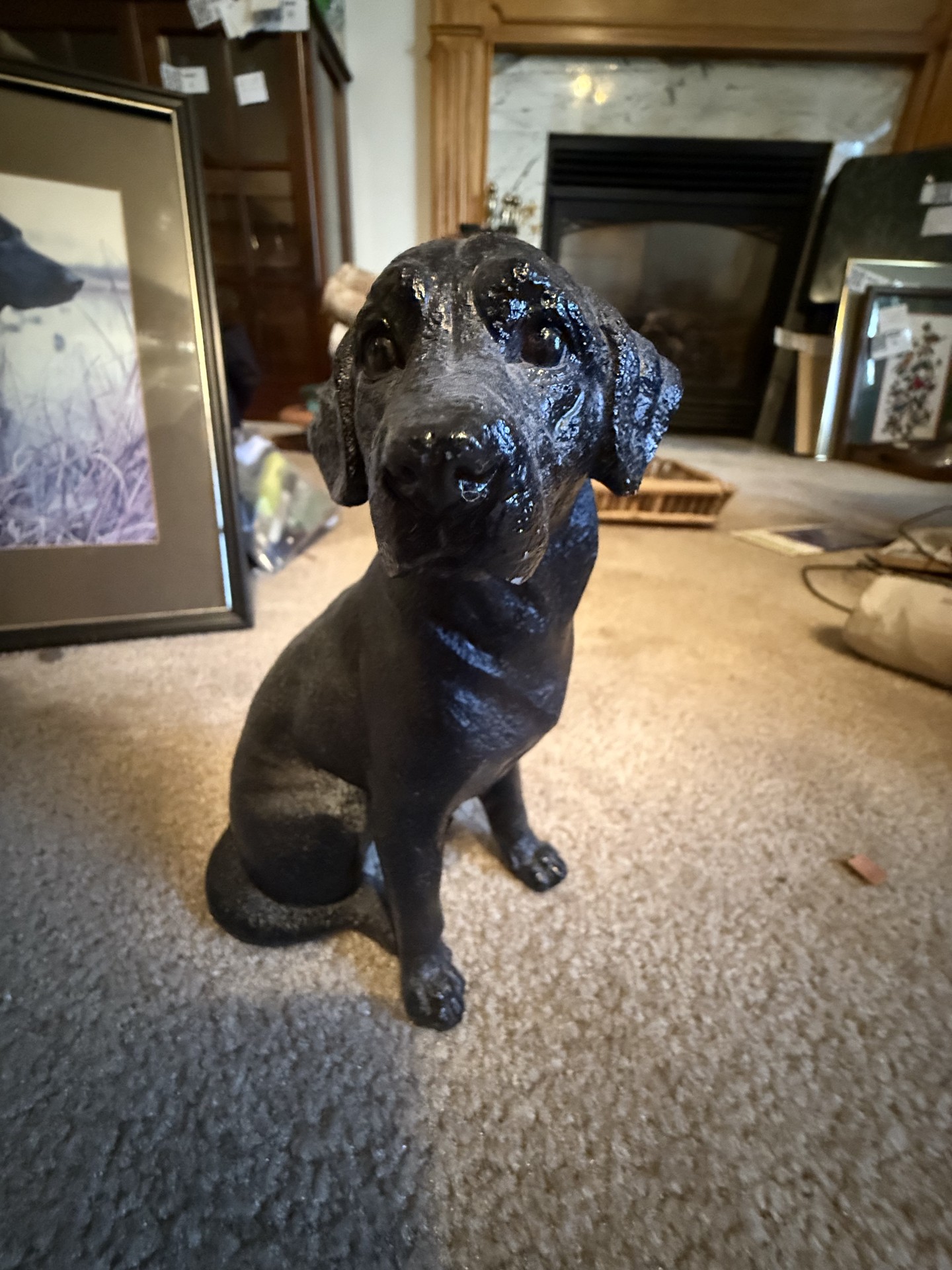 Dog-themed decor and books collection - image 6 of 27