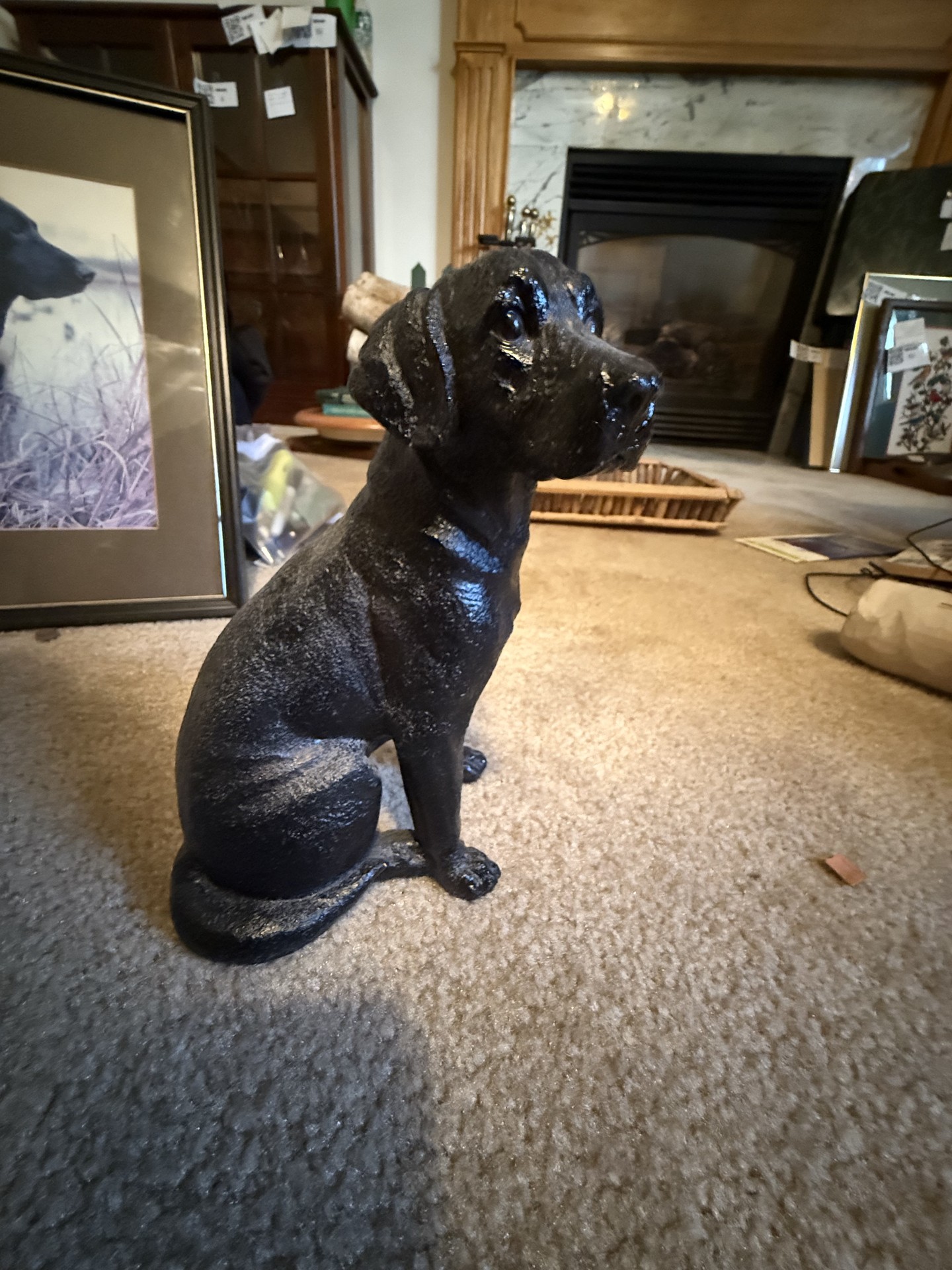 Dog-themed decor and books collection - image 7 of 27