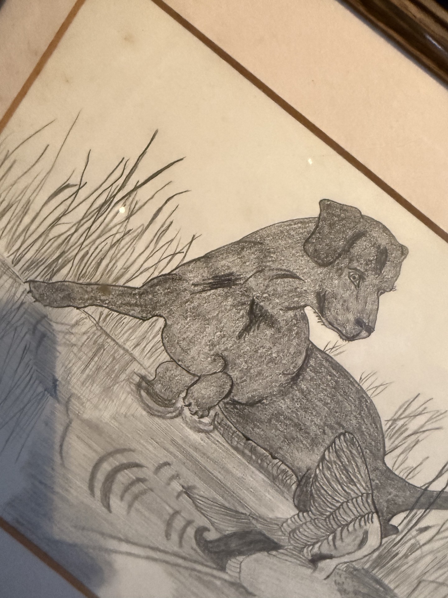 Dog-themed decor and books collection - image 22 of 27