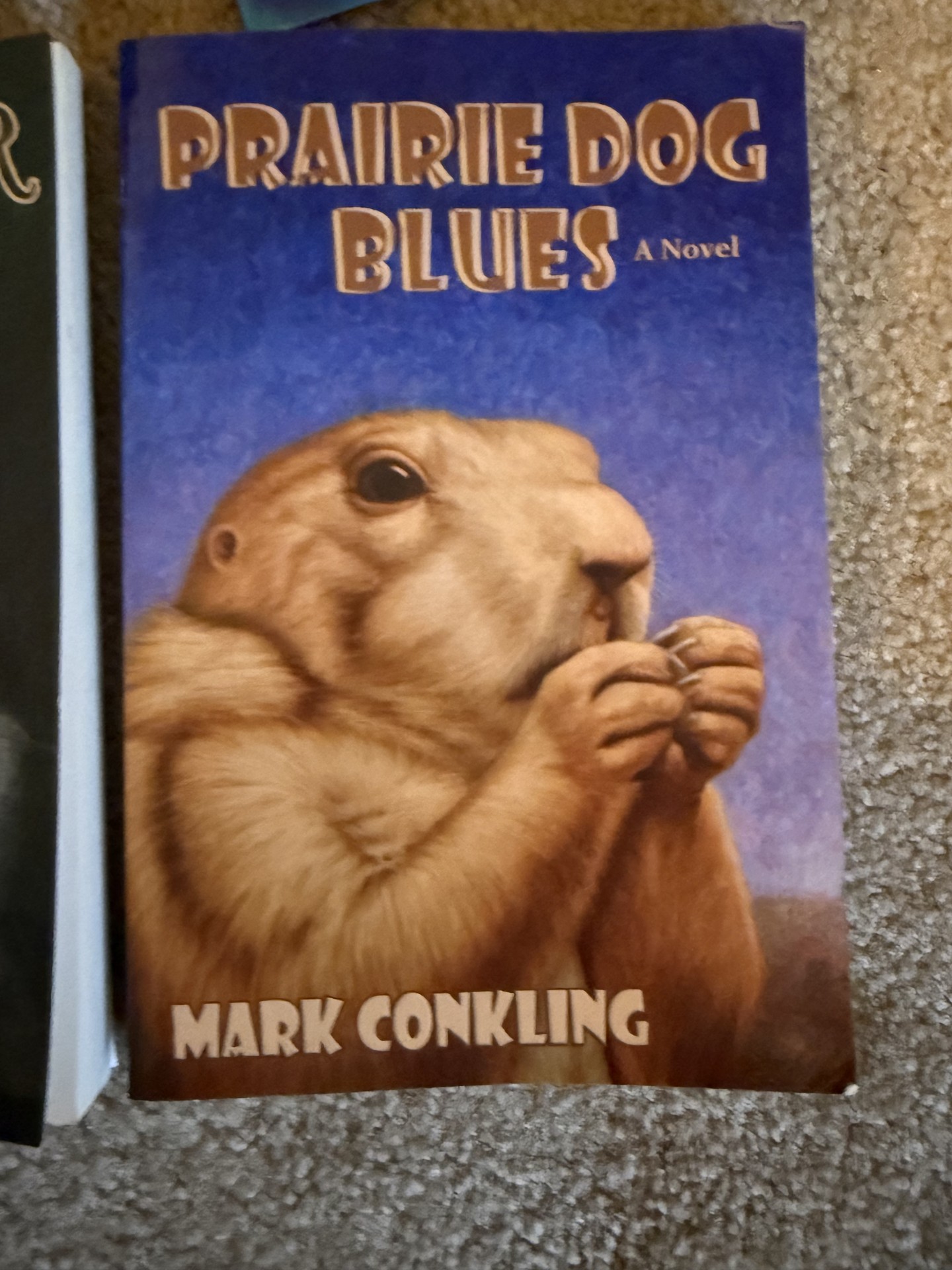 Dog-themed decor and books collection - image 3 of 27