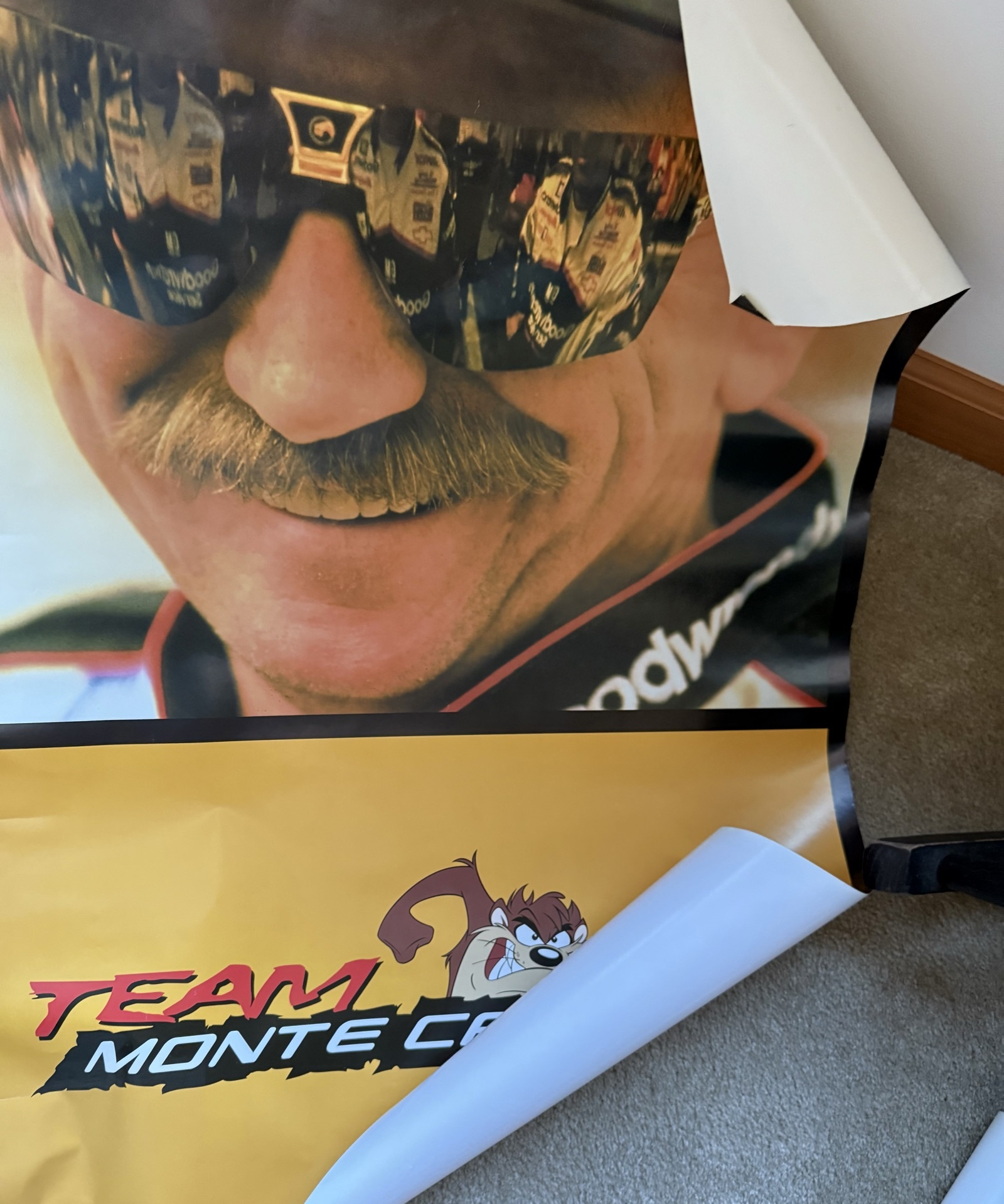 Dick Trickle NASCAR Die-Cast Car Collection - image 6 of 8