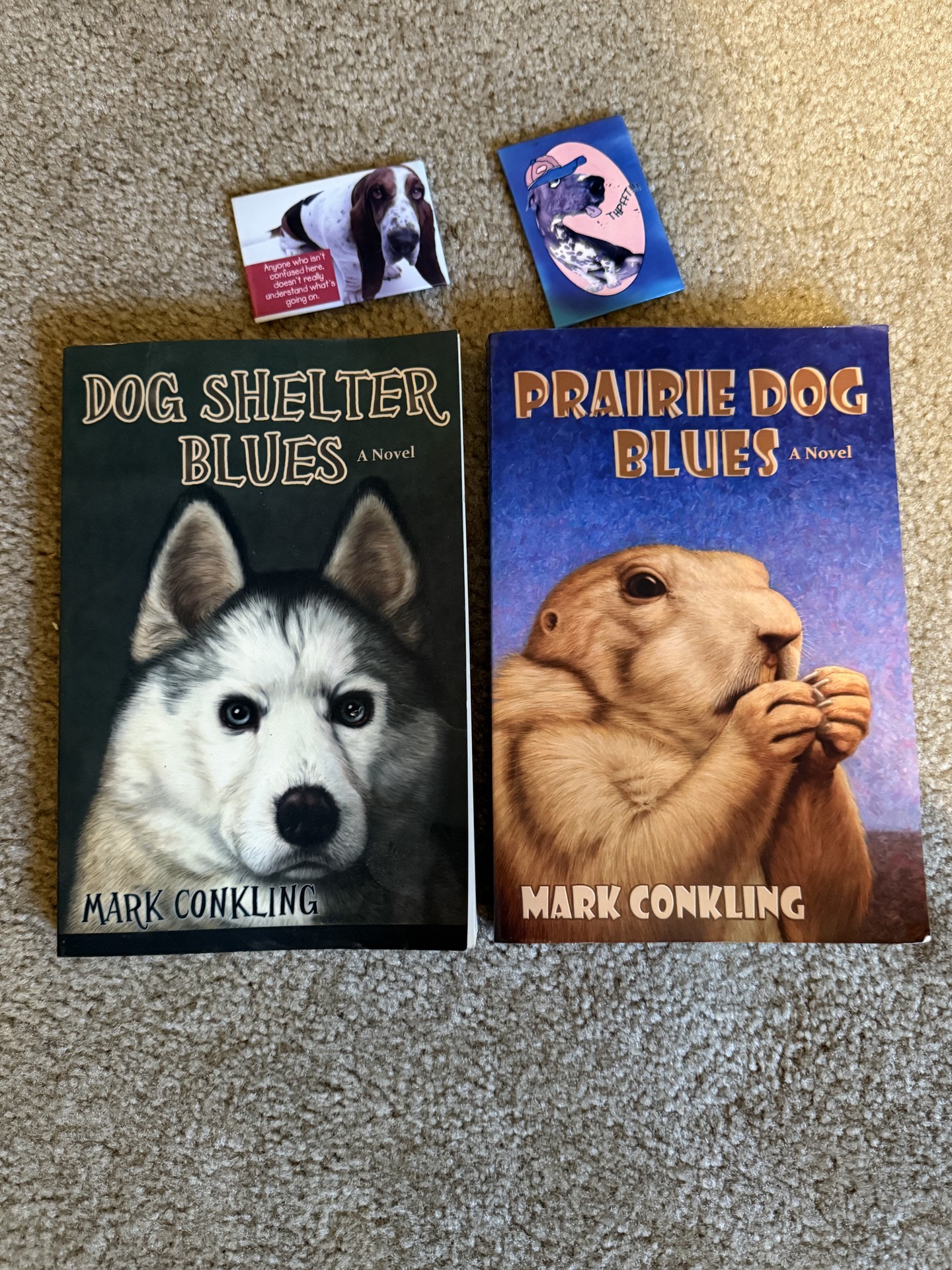 Dog-themed decor and books collection - image 1 of 27