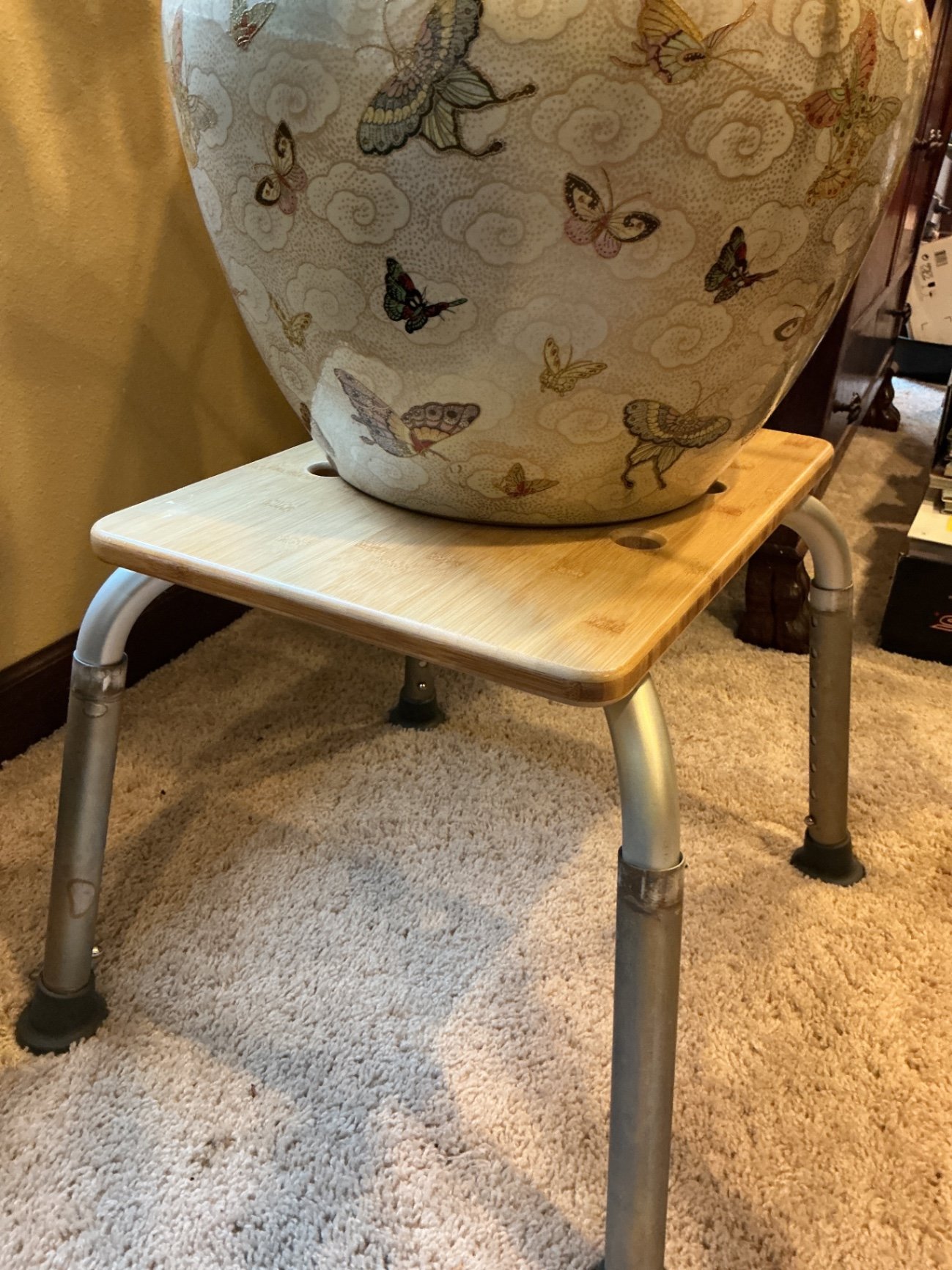 Monstera deliciosa houseplant with large fenestrated leaves - image 2 of 5