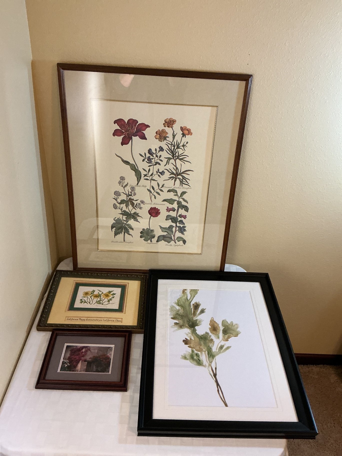 Framed botanical art prints and watercolor  - image 1 of 5
