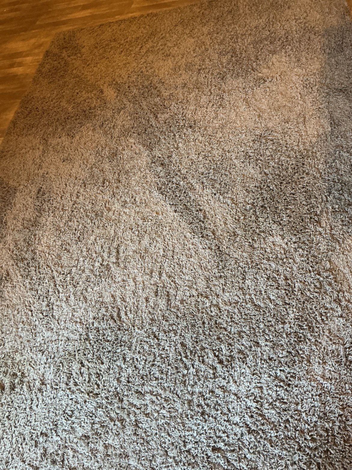 Gray shag area rug - image 1 of 4