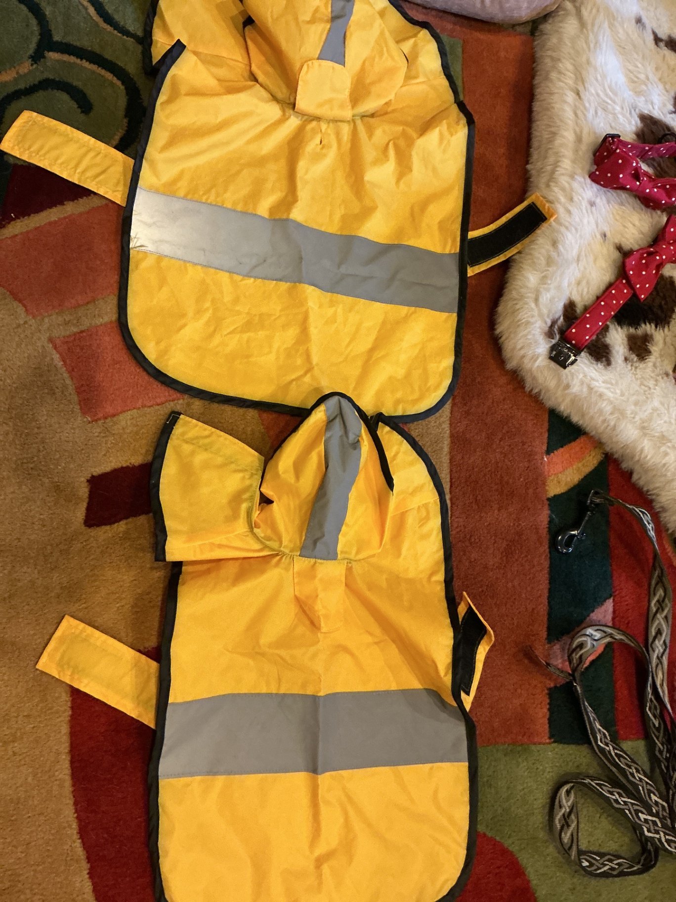 Dog Toys, Accessories, Bedding and Decor - image 3 of 11