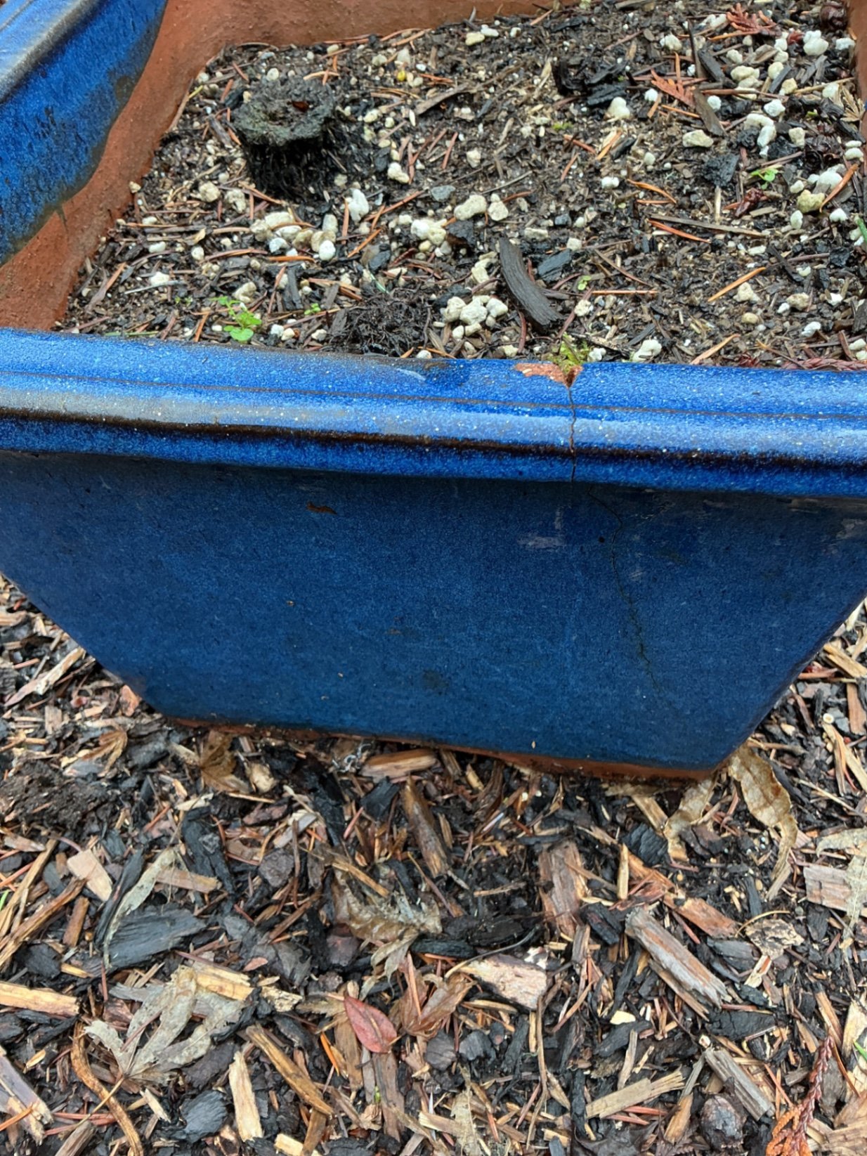 Blue ceramic birdbath with square planter - image 4 of 4