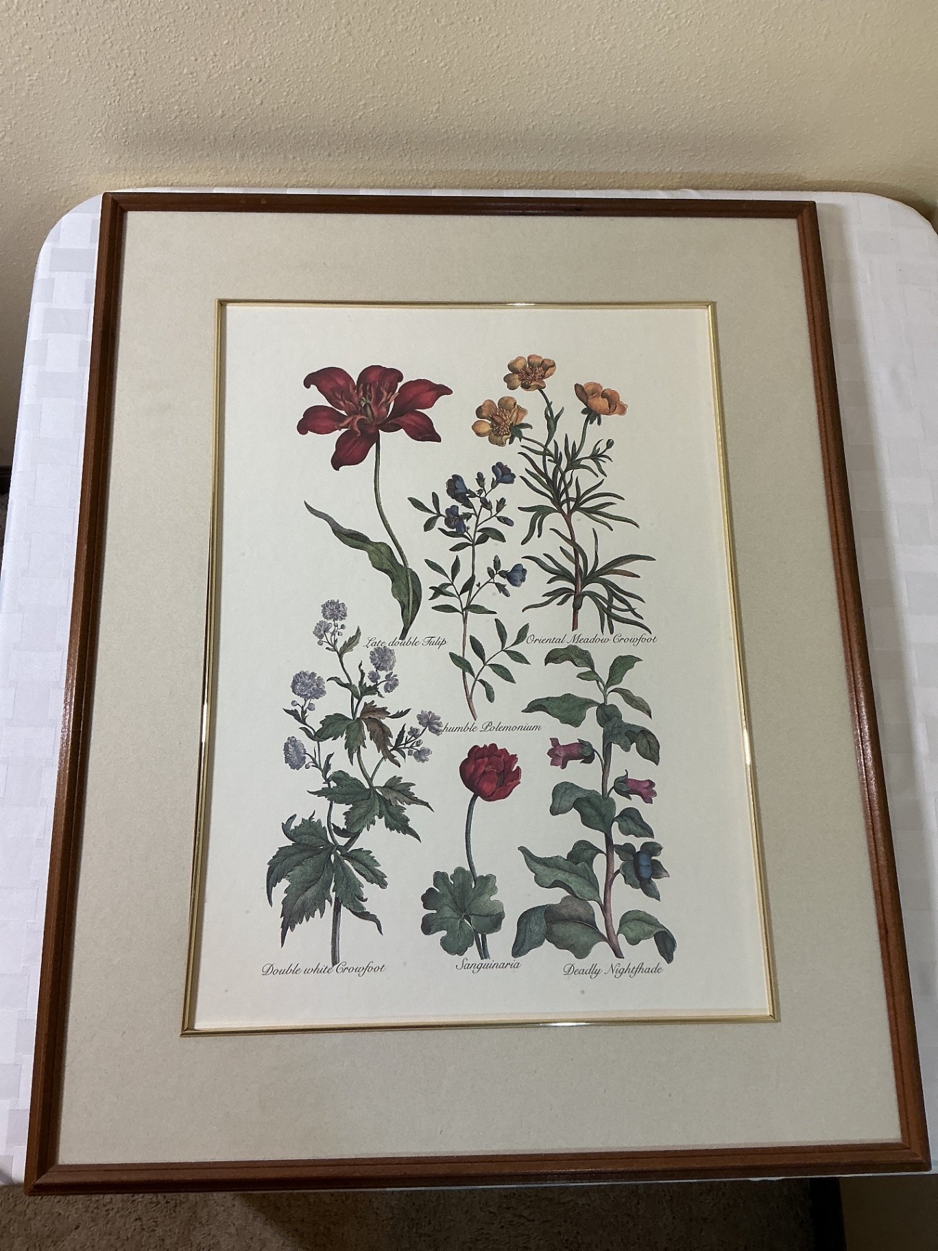 Framed botanical art prints and watercolor  - image 2 of 5