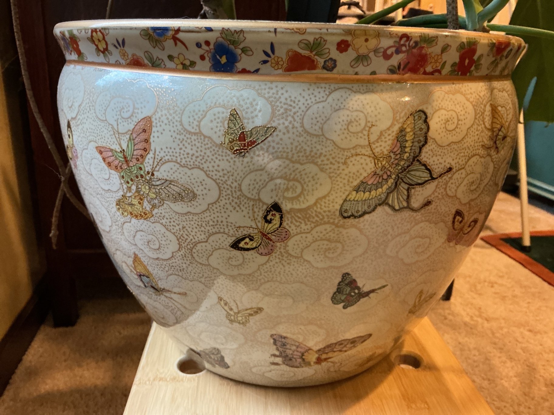 Monstera deliciosa houseplant with large fenestrated leaves - image 3 of 5