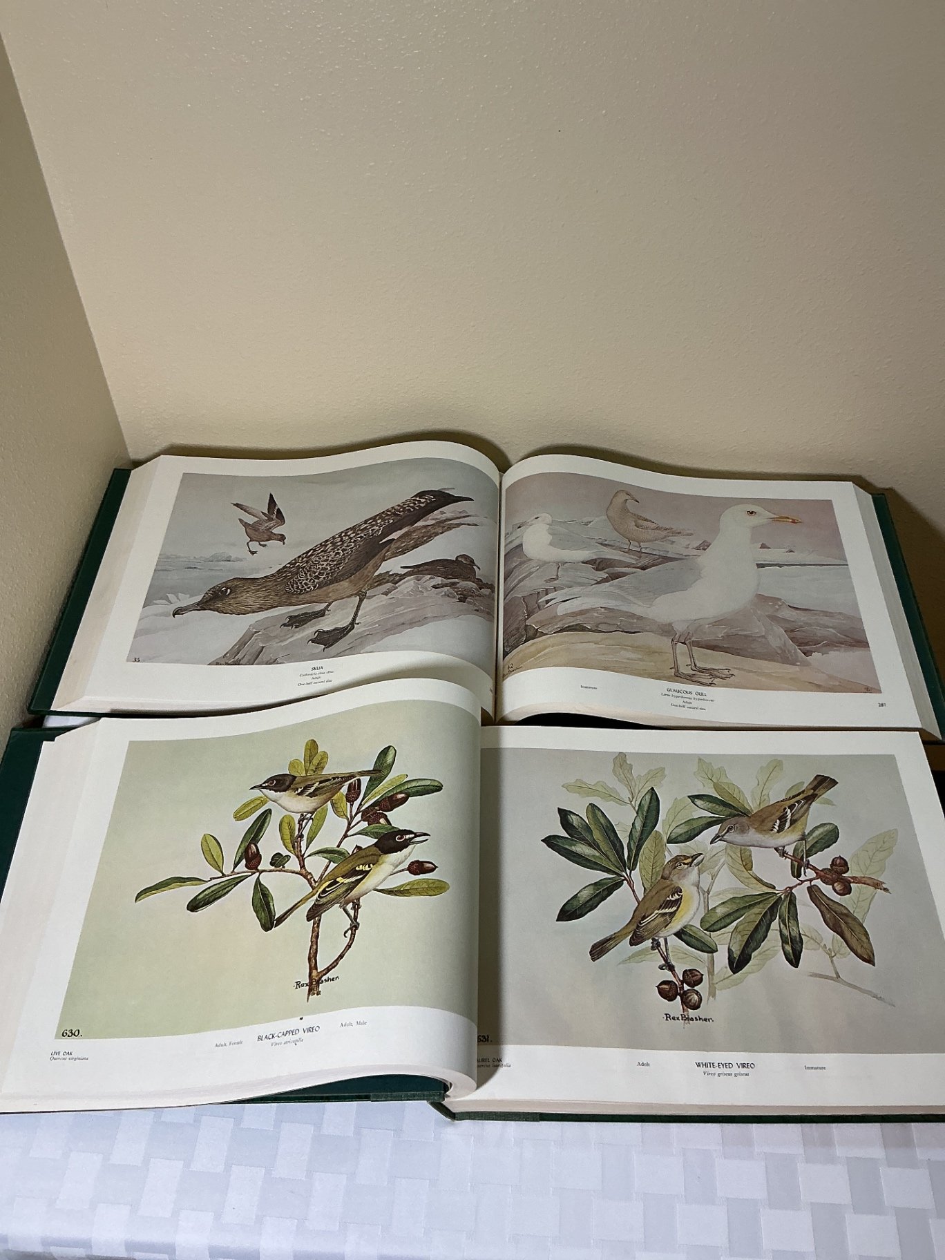 Nature Books - image 3 of 5