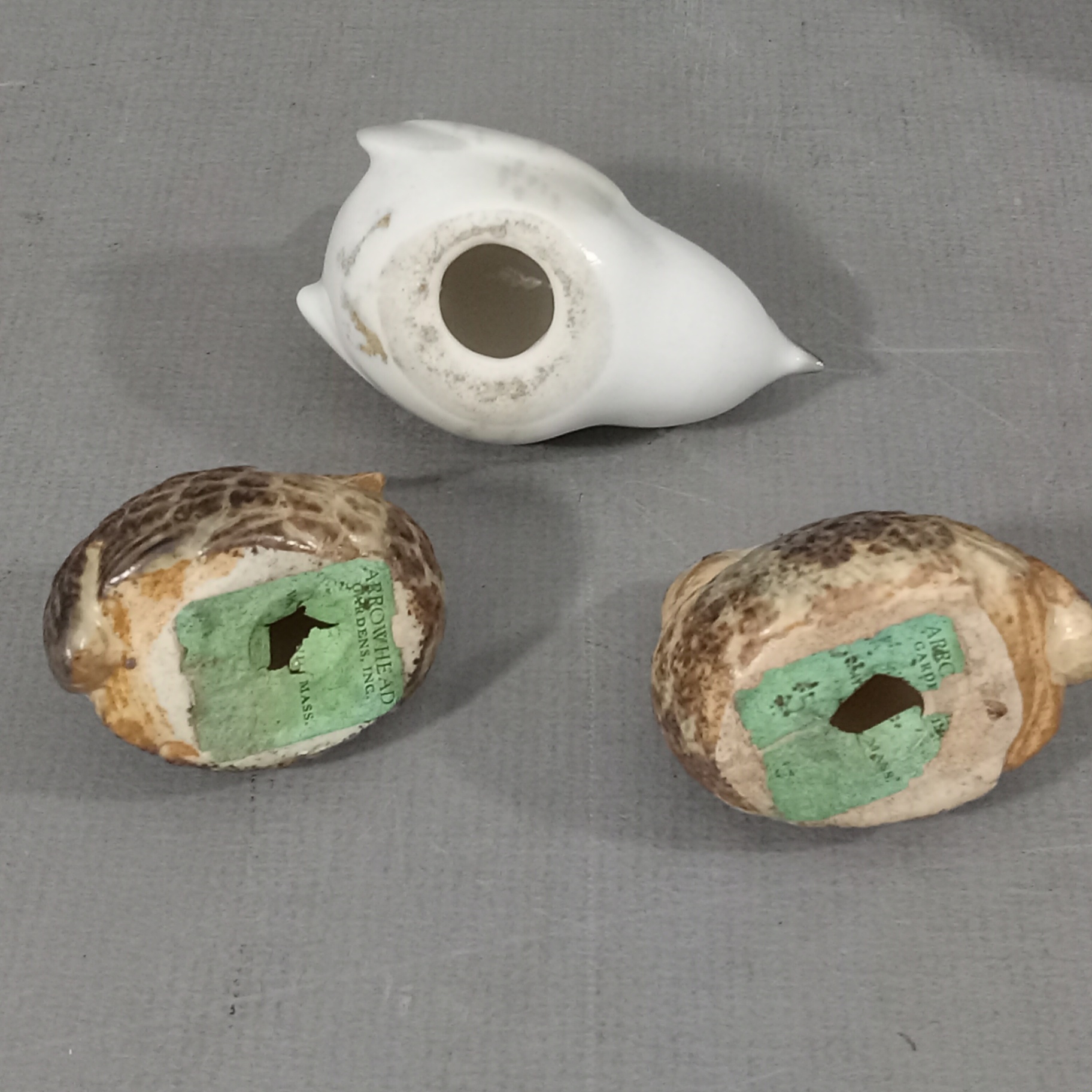 This Collection is For The Birds - image 18 of 27