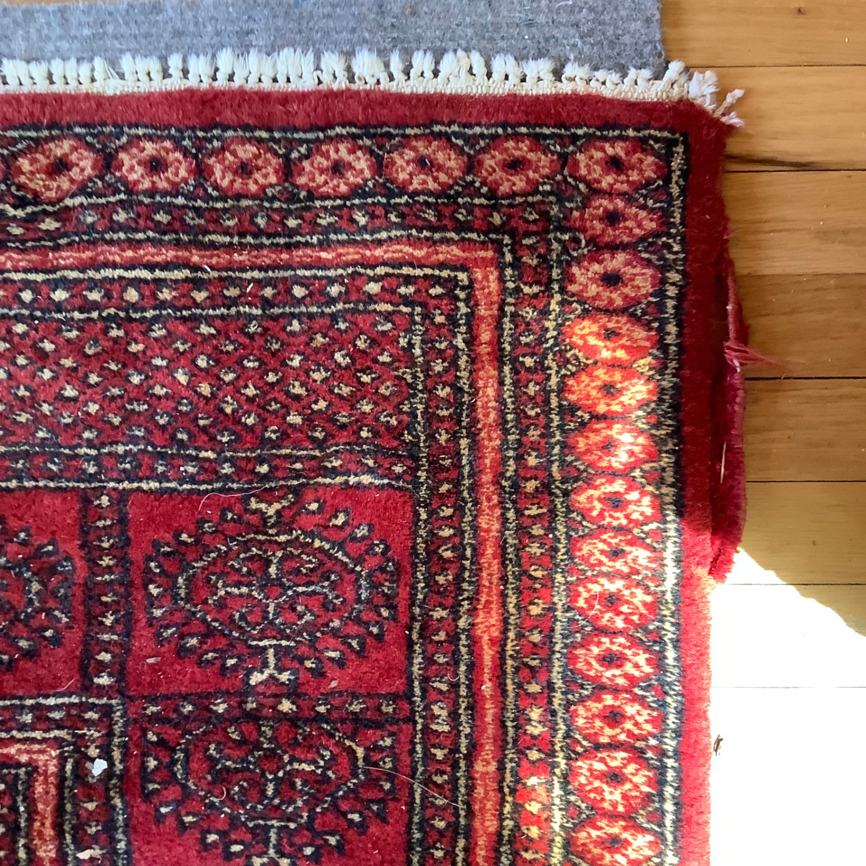 Wool Area Rug - image 5 of 6