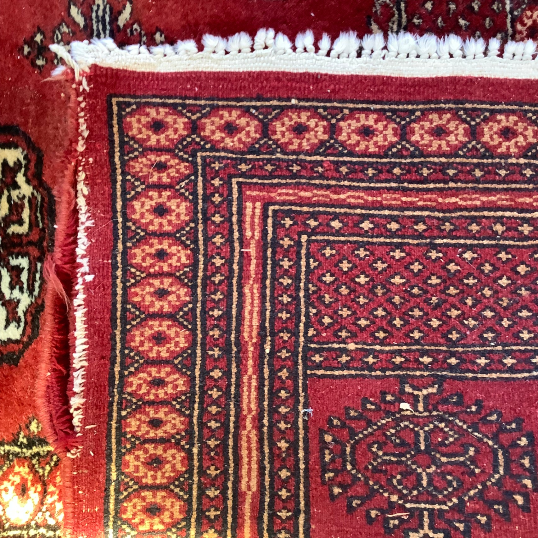 Wool Area Rug - image 6 of 6