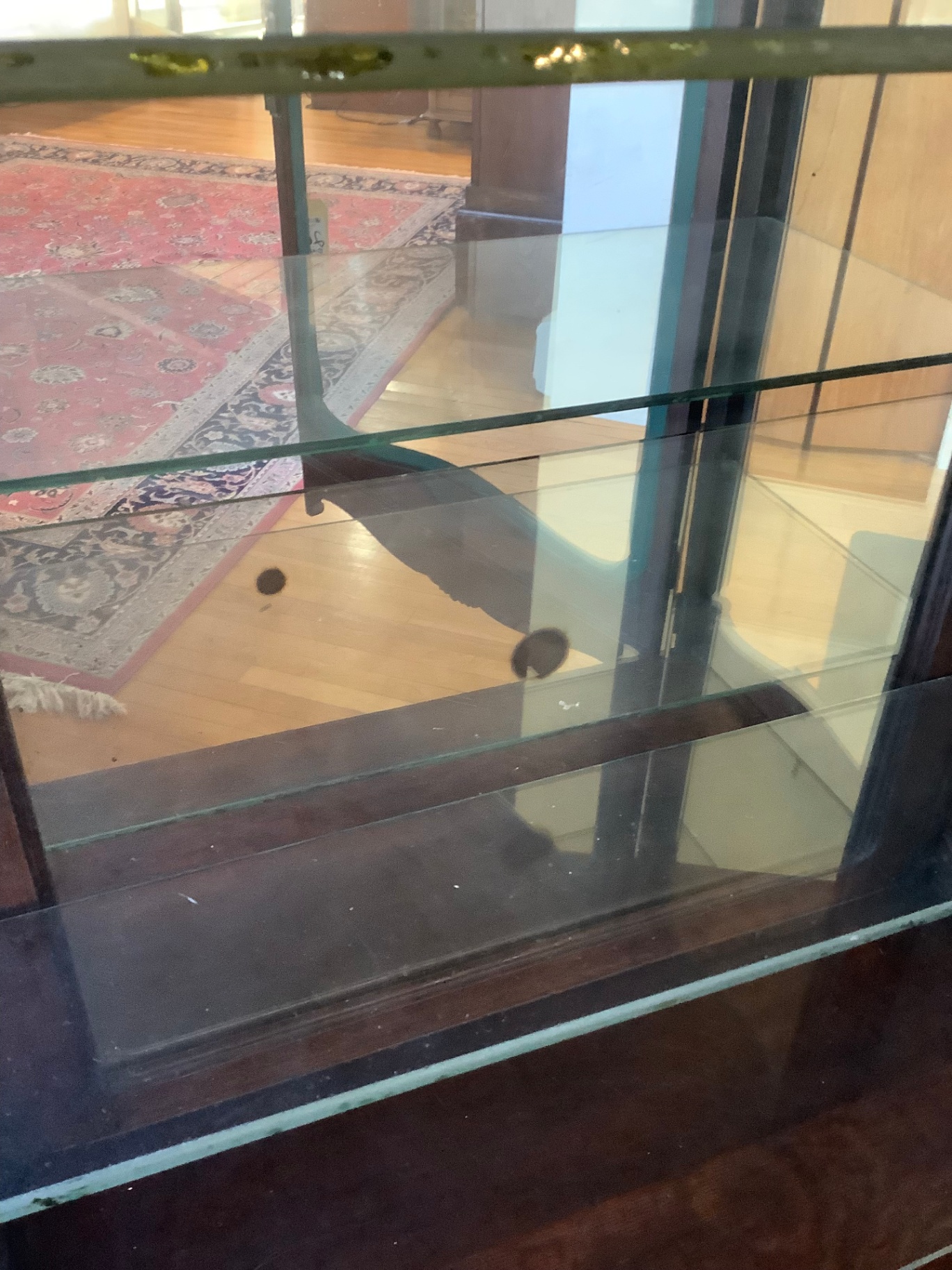 Antique Display Cabinet - image 5 of 7