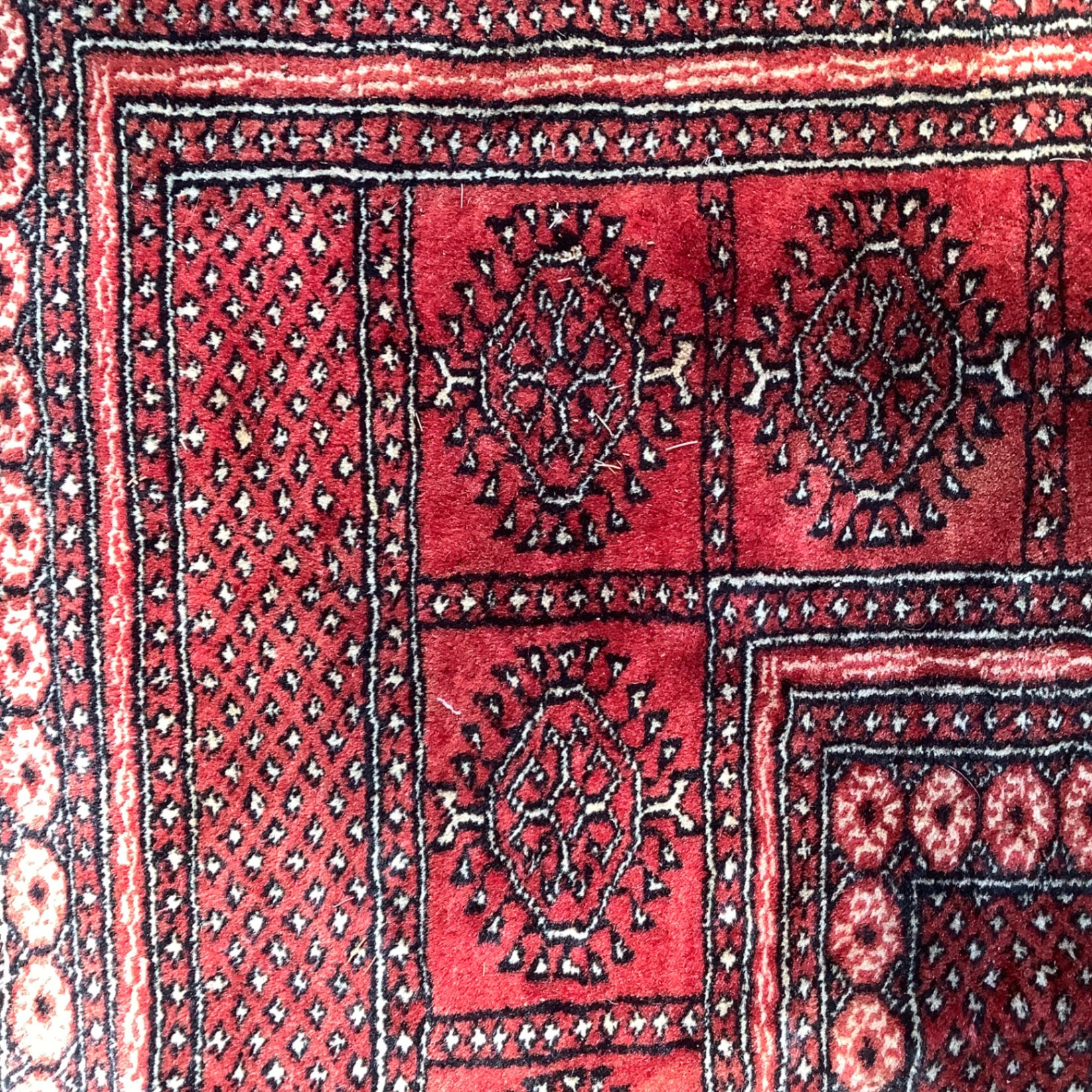 Wool Area Rug - image 2 of 6