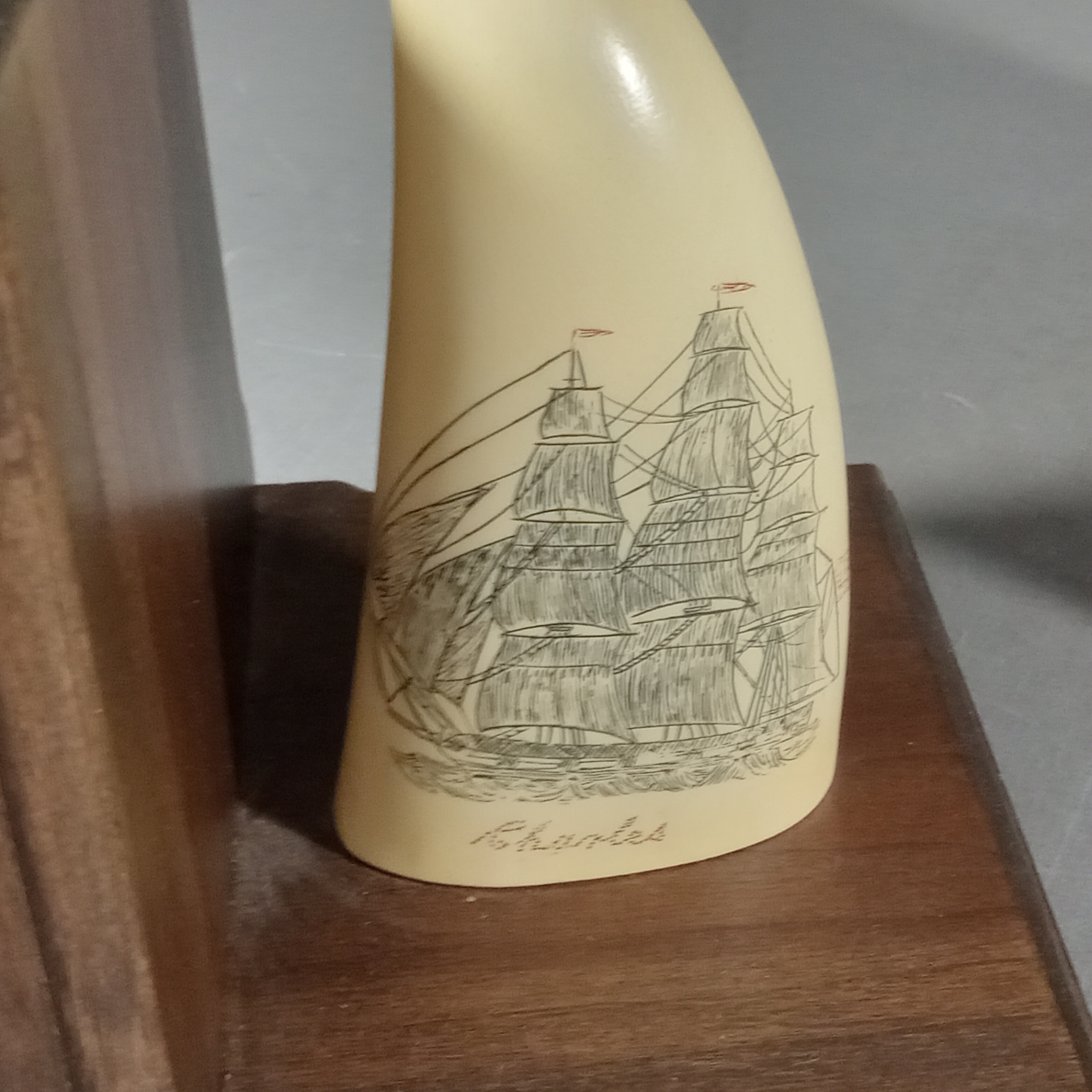 Whale Tooth Scrimshaw Bookends & Origin of Species - image 3 of 18