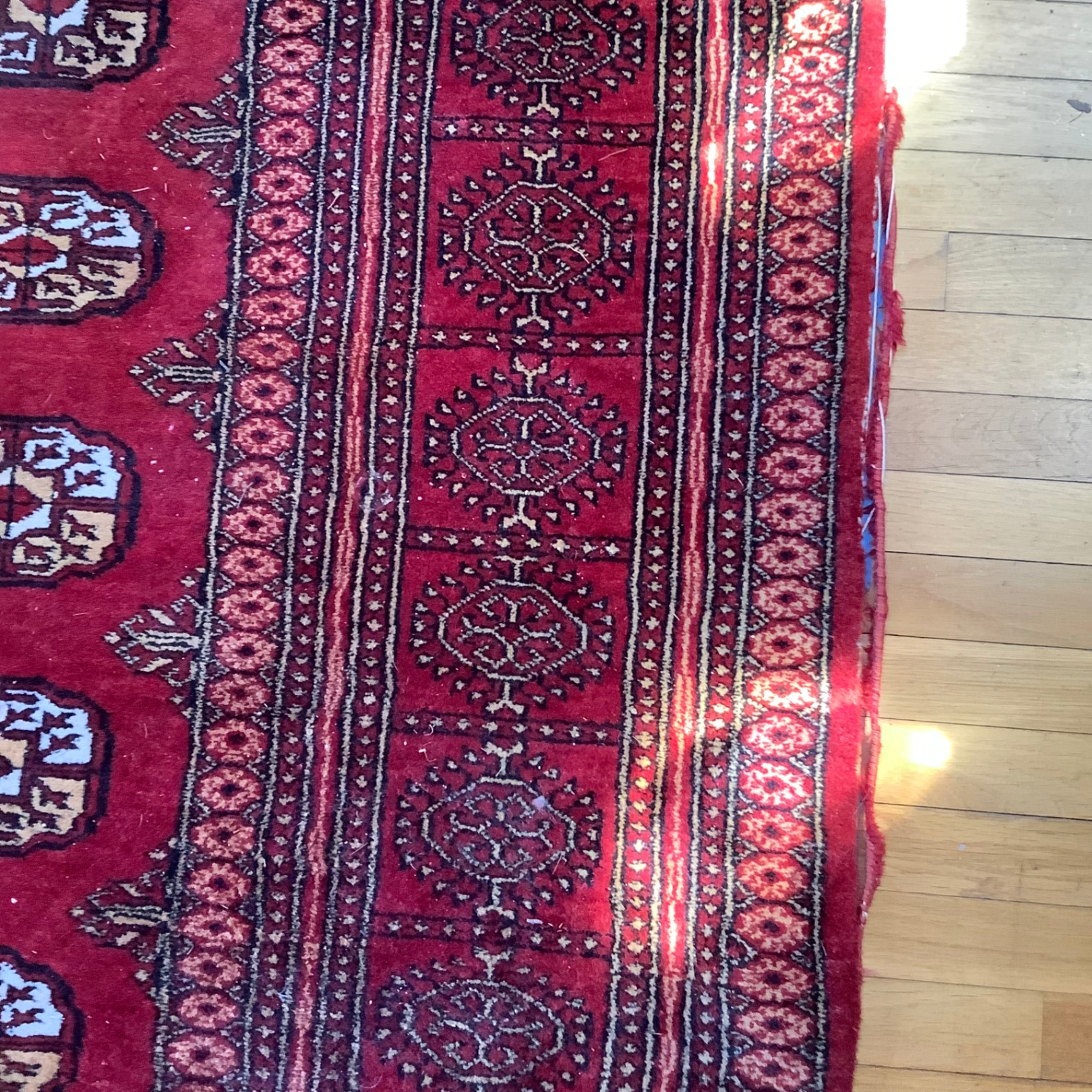 Wool Area Rug - image 4 of 6