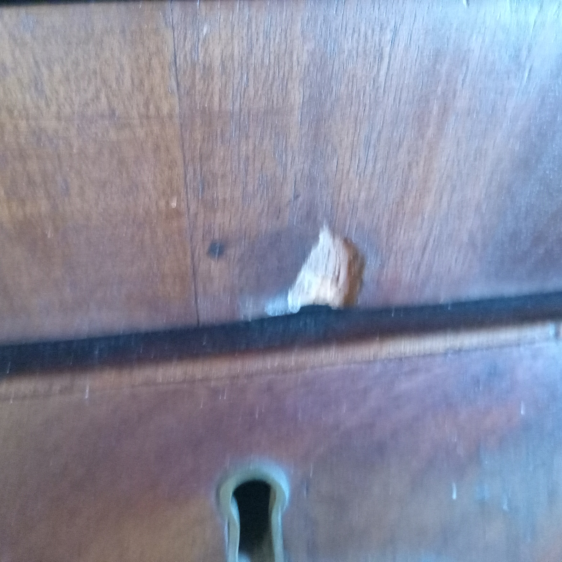 Antique Chest - image 9 of 16