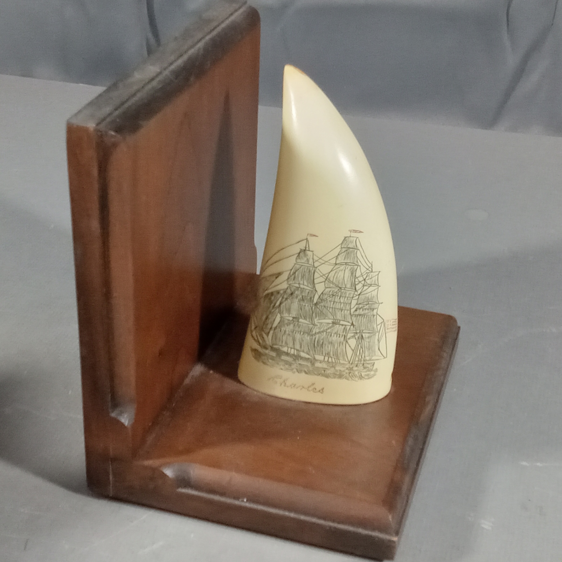 Whale Tooth Scrimshaw Bookends & Origin of Species - image 4 of 18