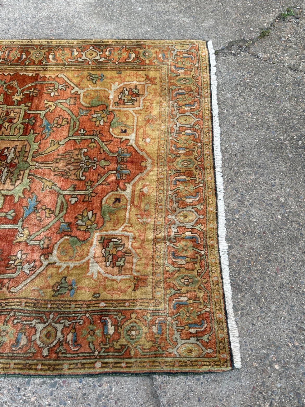 Handwoven Wool Serapi Rug - image 5 of 5