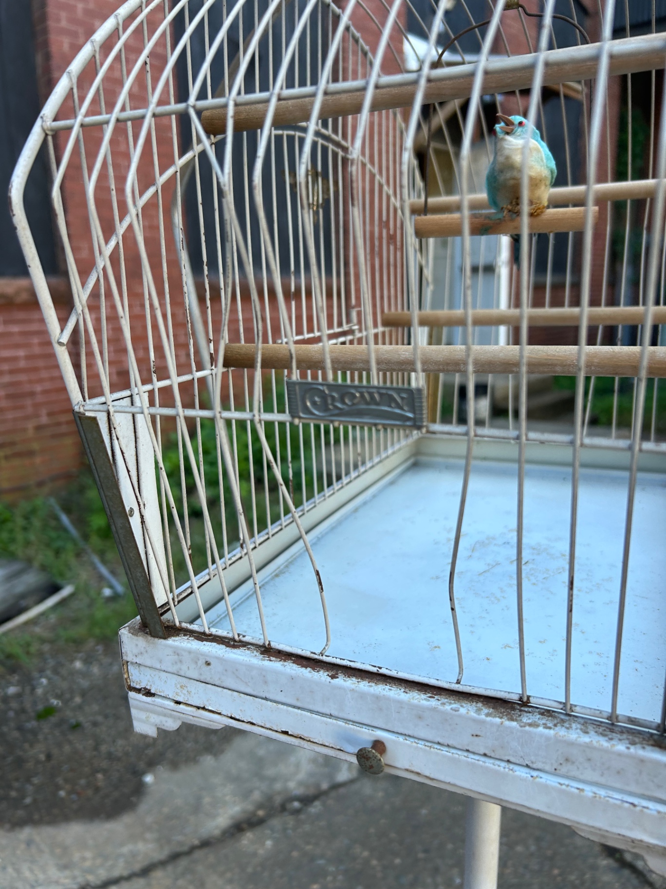 Vintage Crown Floor Standing Bird Cage  - image 4 of 4