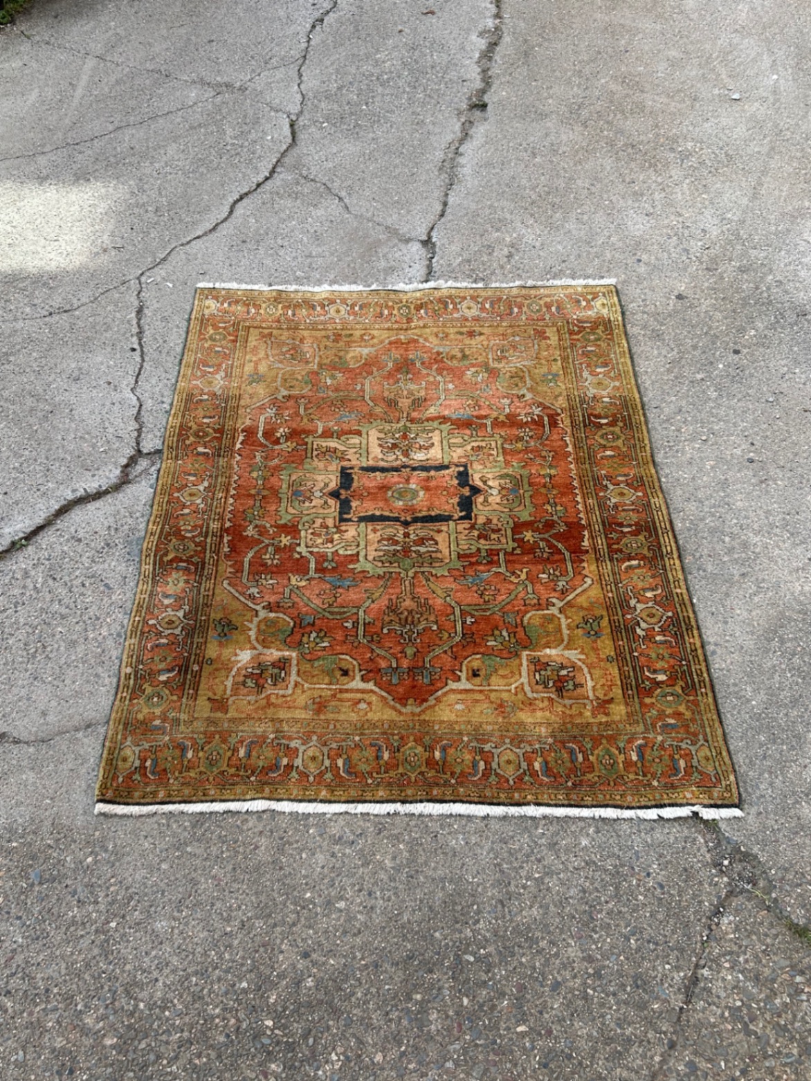 Handwoven Wool Serapi Rug - image 2 of 5
