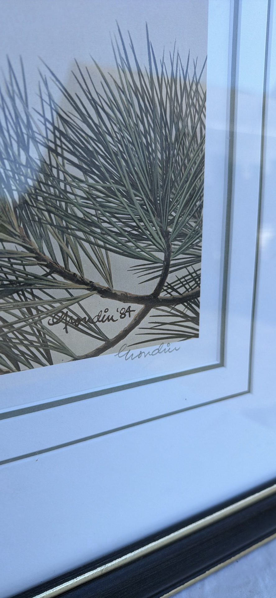 Framed Limited Edition Dove Art Print - image 4 of 8