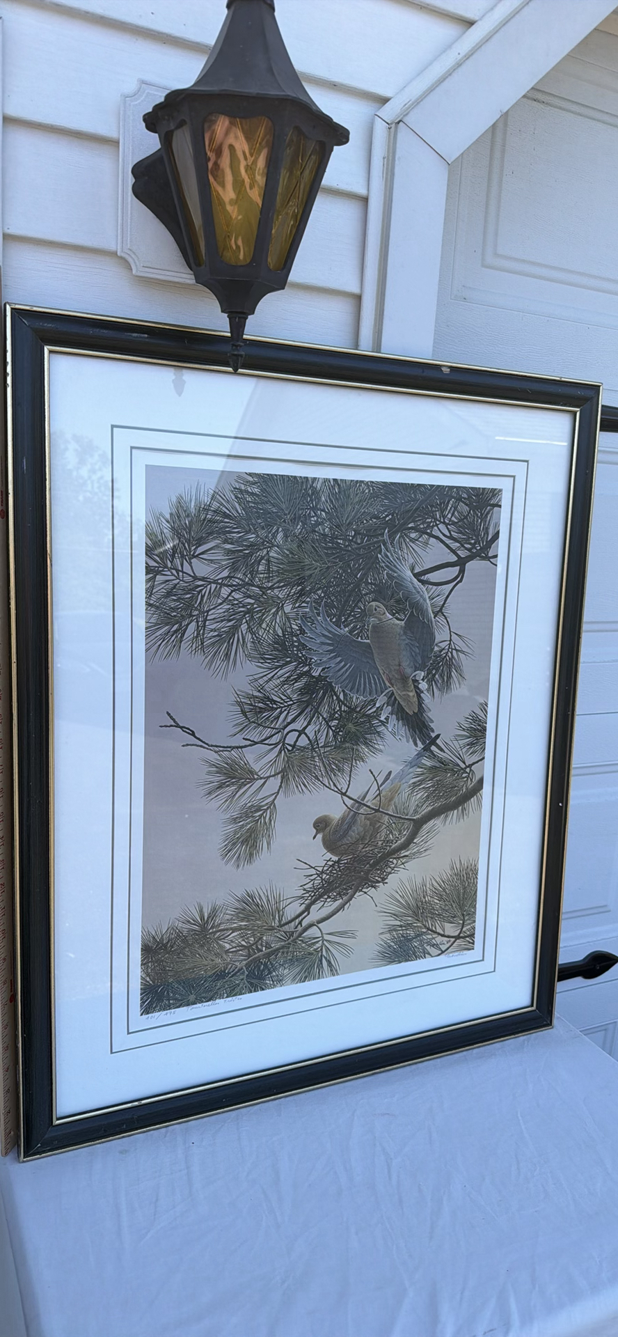 Framed Limited Edition Dove Art Print - image 1 of 8