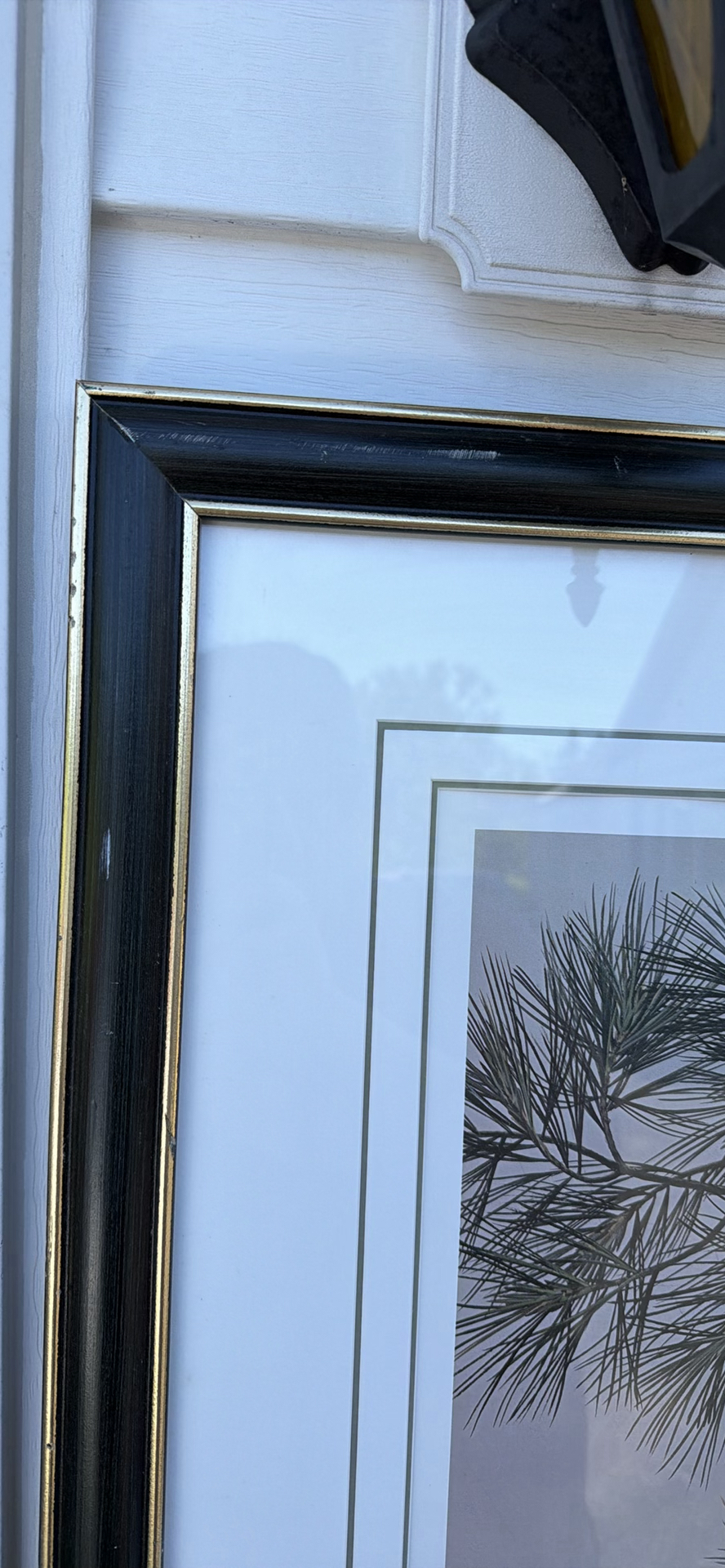 Framed Limited Edition Dove Art Print - image 6 of 8