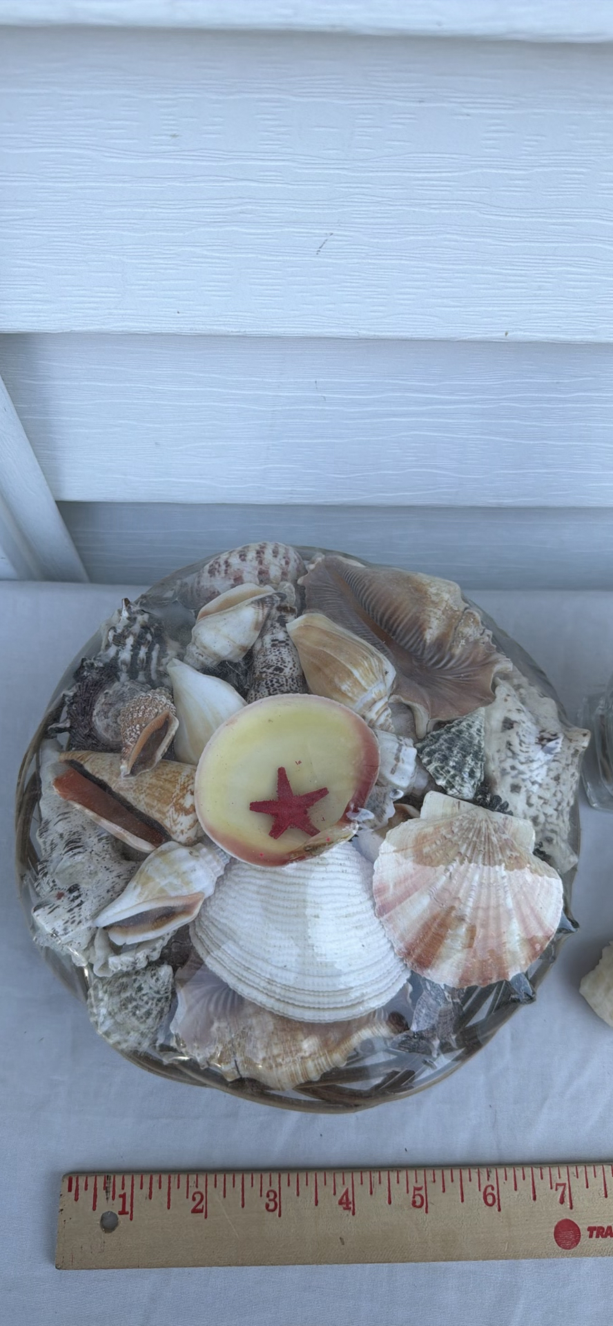 Assorted Seashell Decor Items - image 1 of 5