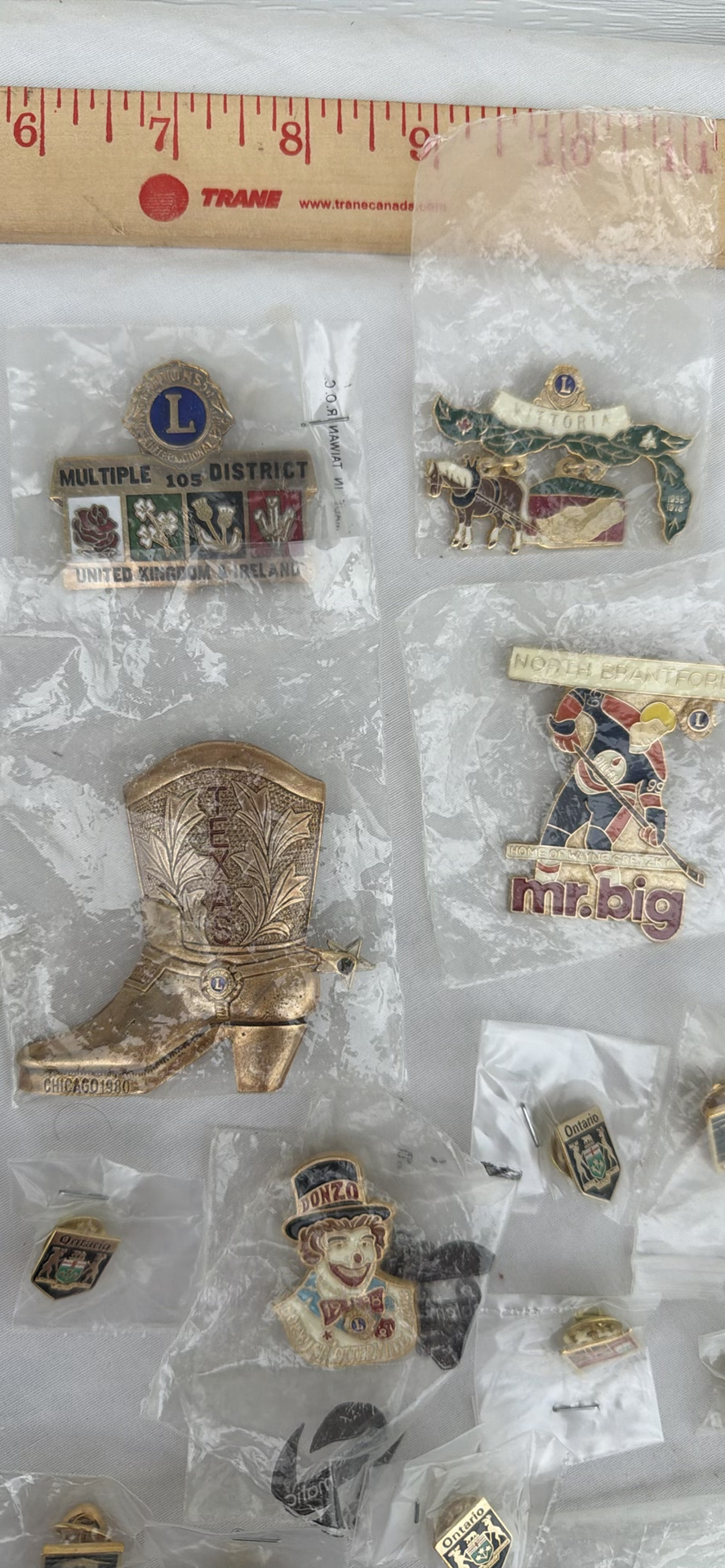 Collection of Lions Club and Regional Commemorative Pins - image 3 of 6