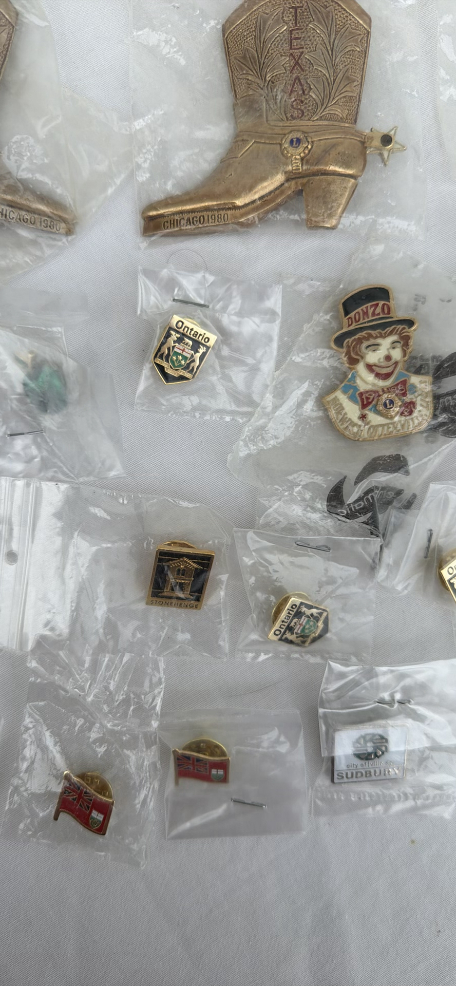 Collection of Lions Club and Regional Commemorative Pins - image 5 of 6