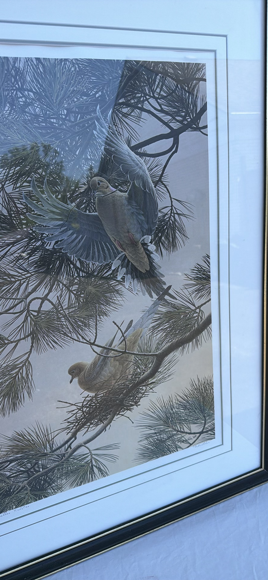 Framed Limited Edition Dove Art Print - image 2 of 8