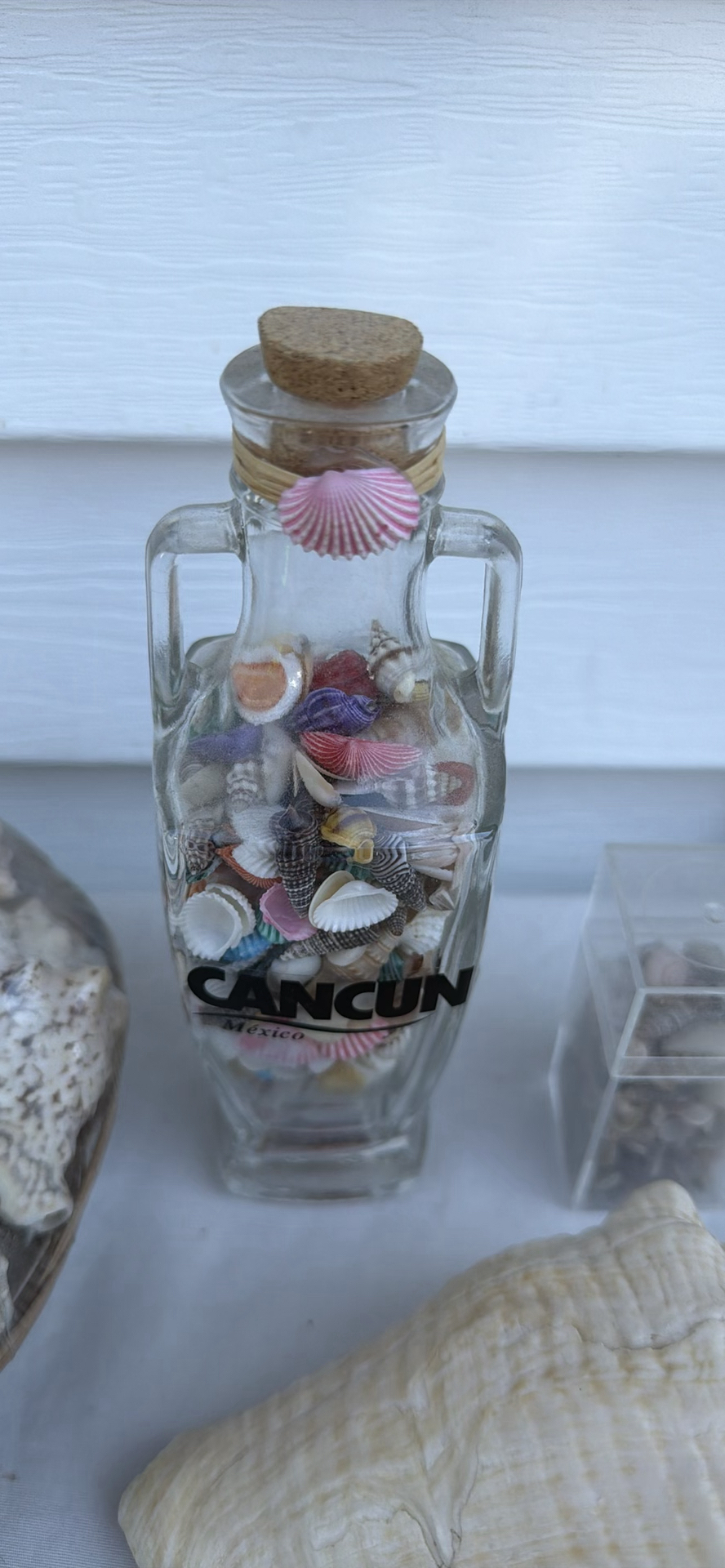 Assorted Seashell Decor Items - image 3 of 5